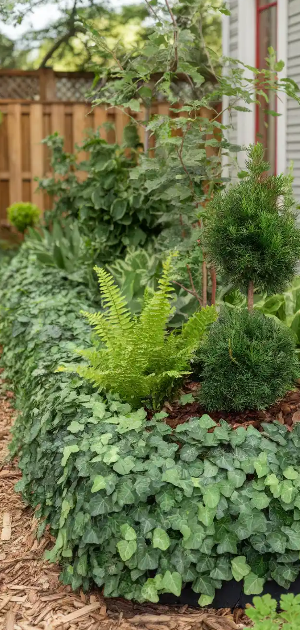 Brilliant Garden Edge Ideas