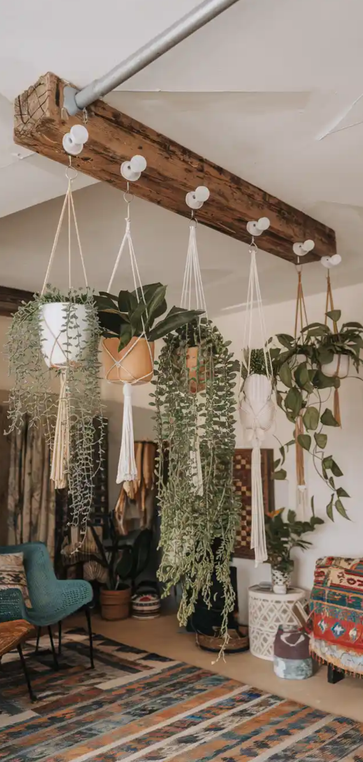 Smart Ways to Hanging Plants from Your Ceiling