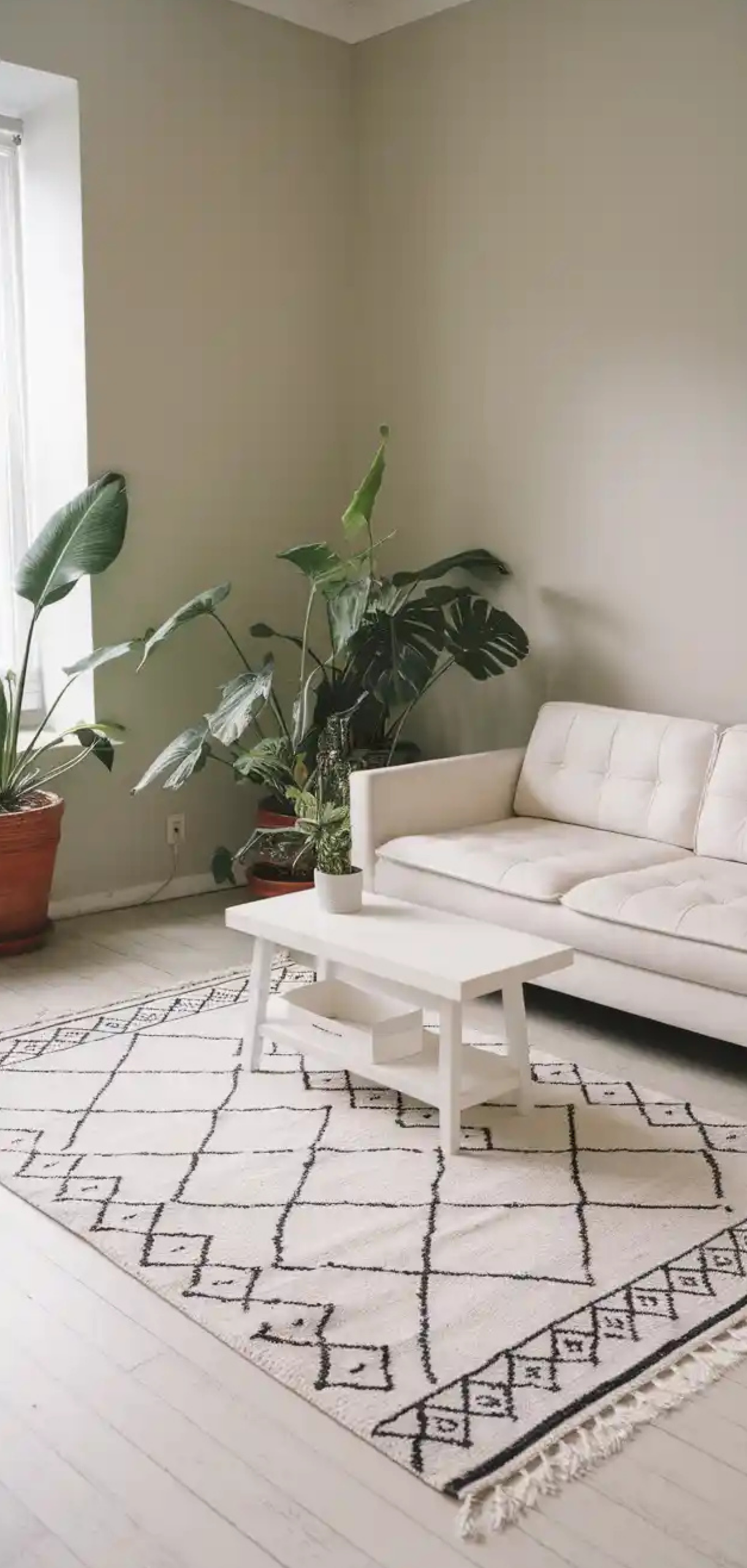 12 Stunning Minimalist Rugs in Living Room - My Home And Kitchen