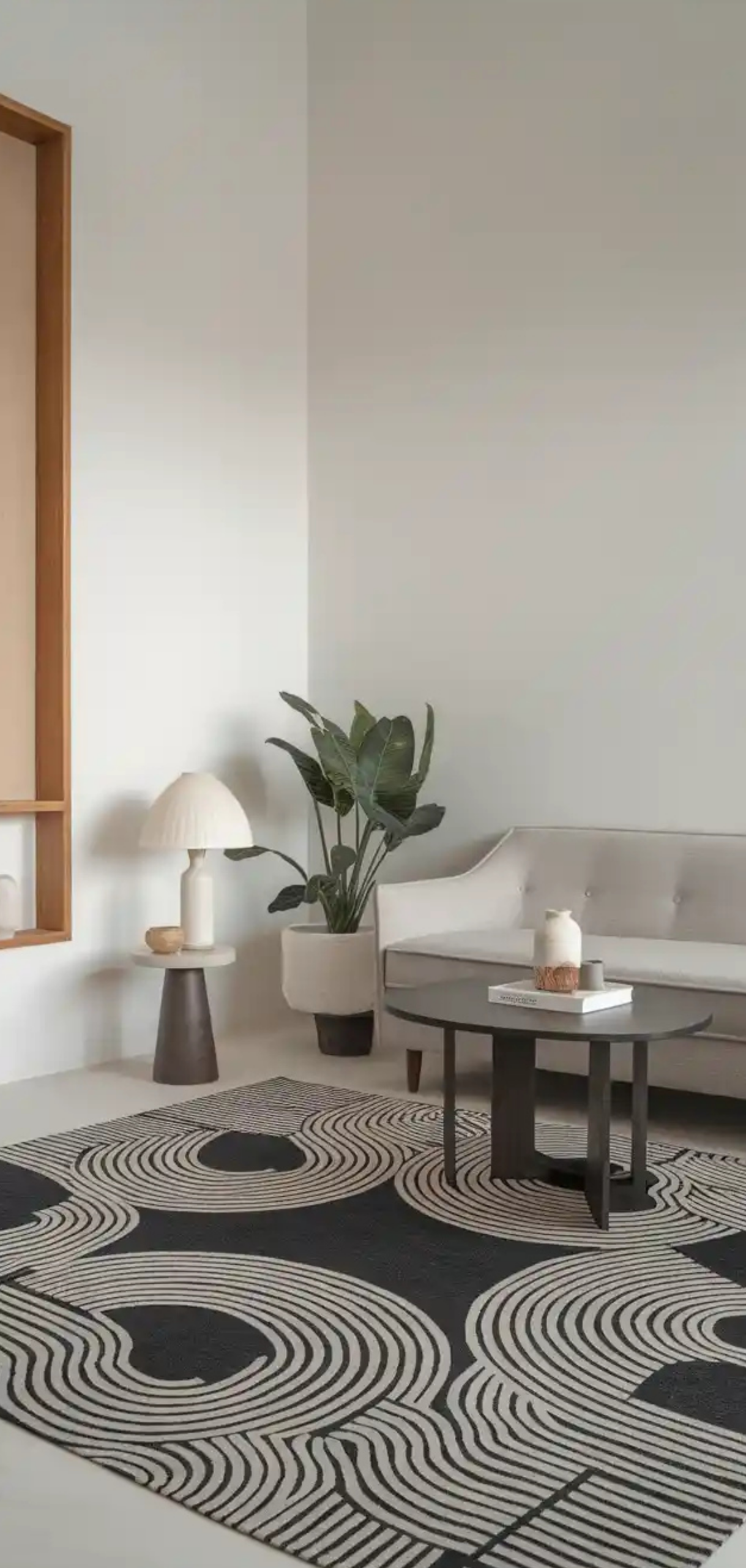 Stunning Minimalist Rugs in Living Room