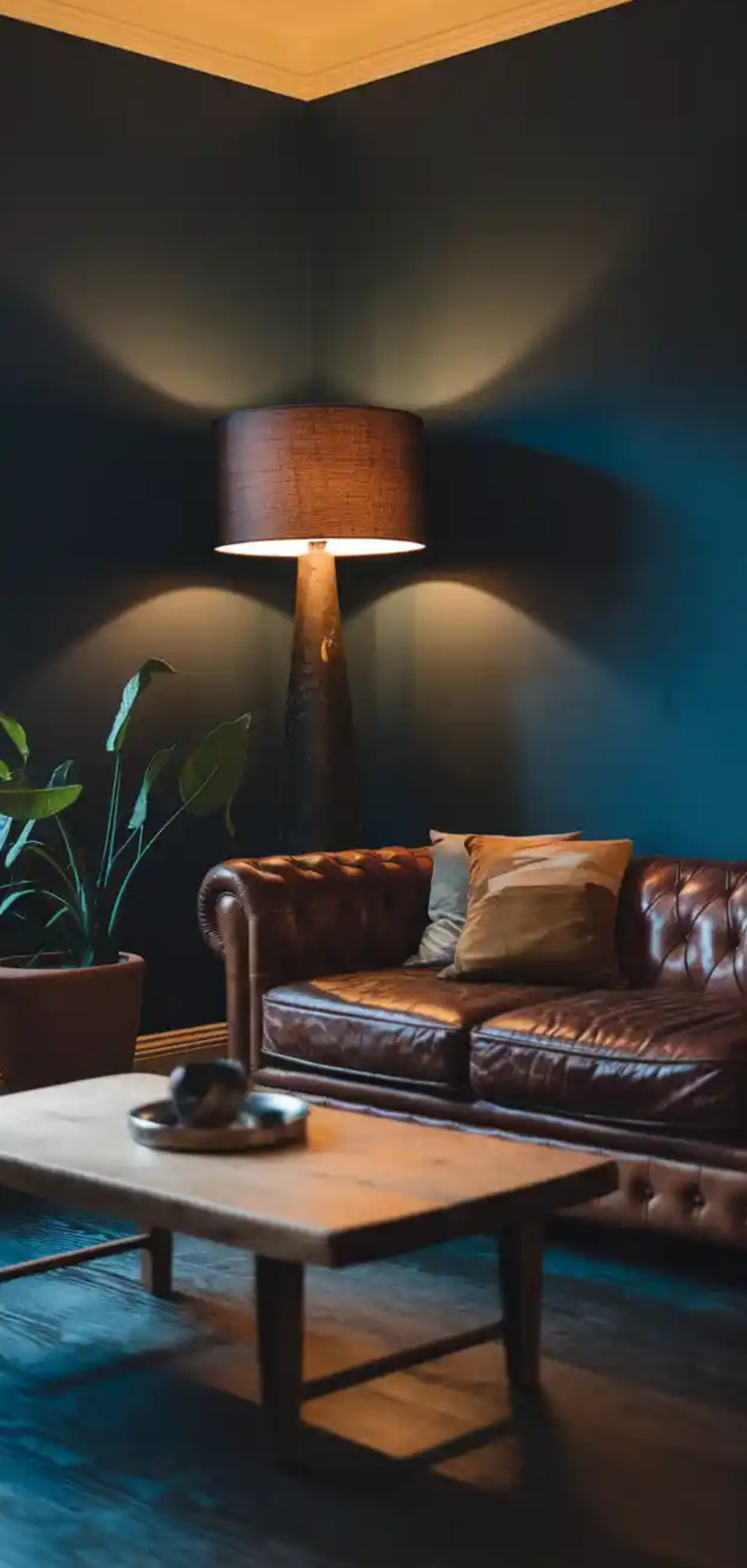 Stunning Moody Living Room Ideas