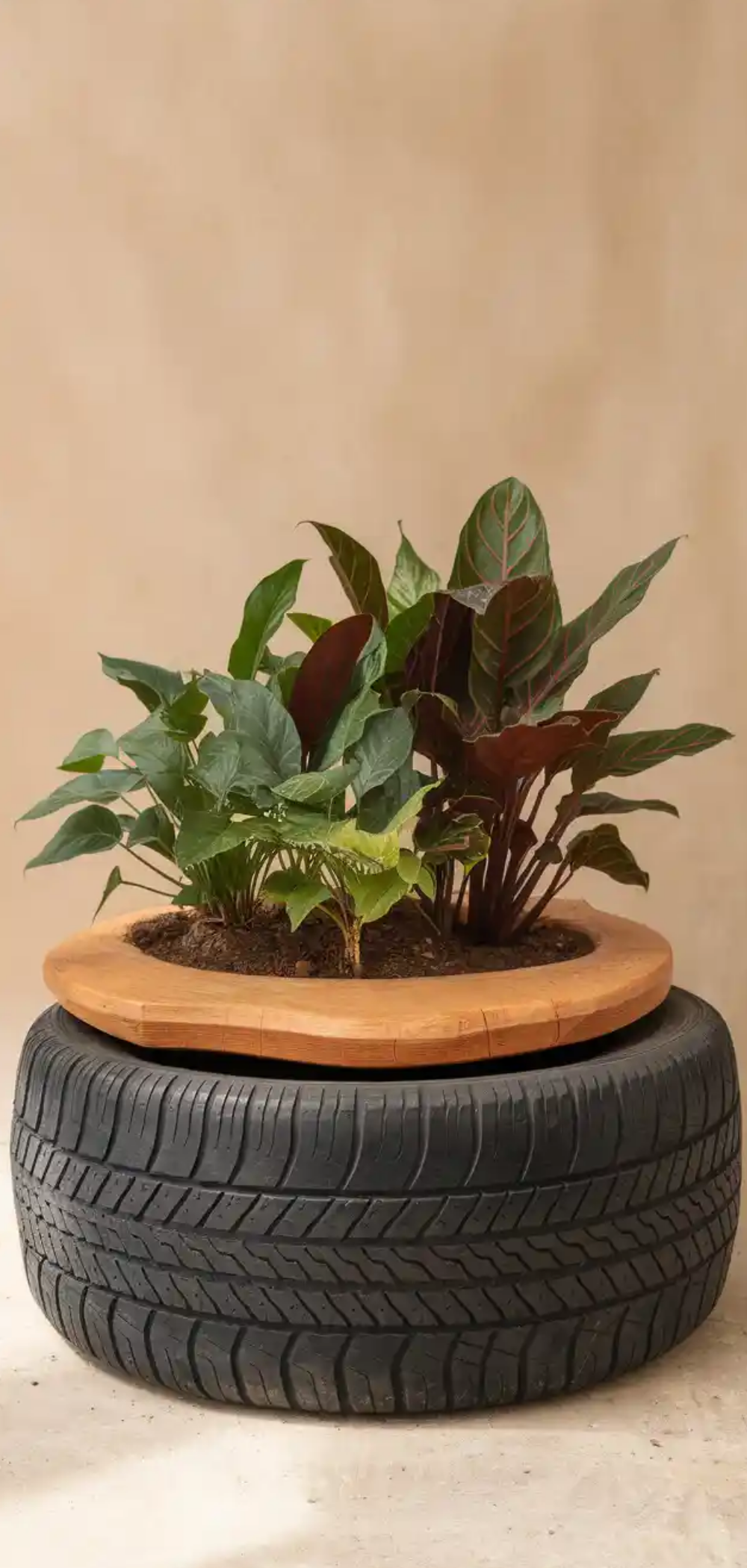Stunning DIY Tire Planter Ideas