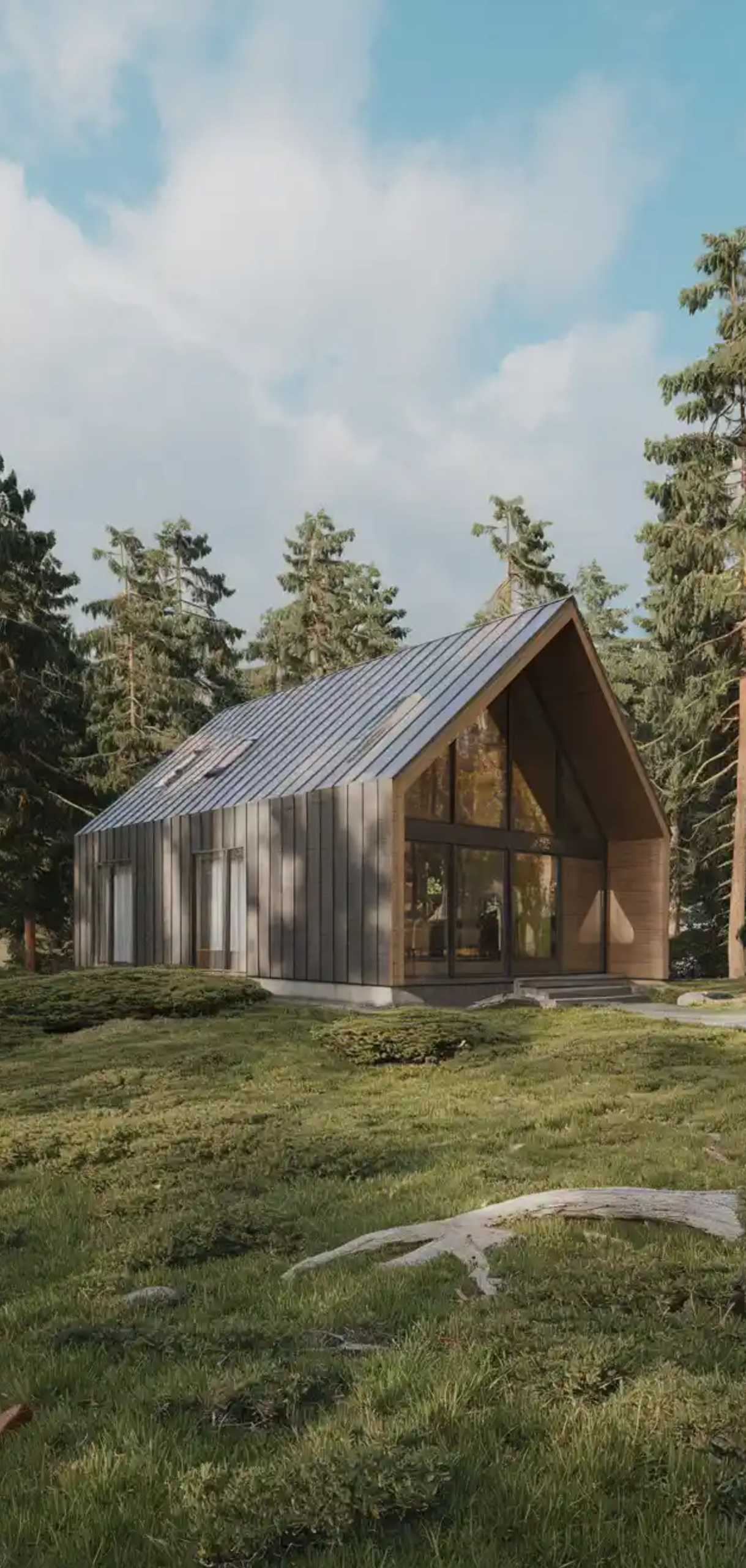 Mountain Modern House Exterior Ideas