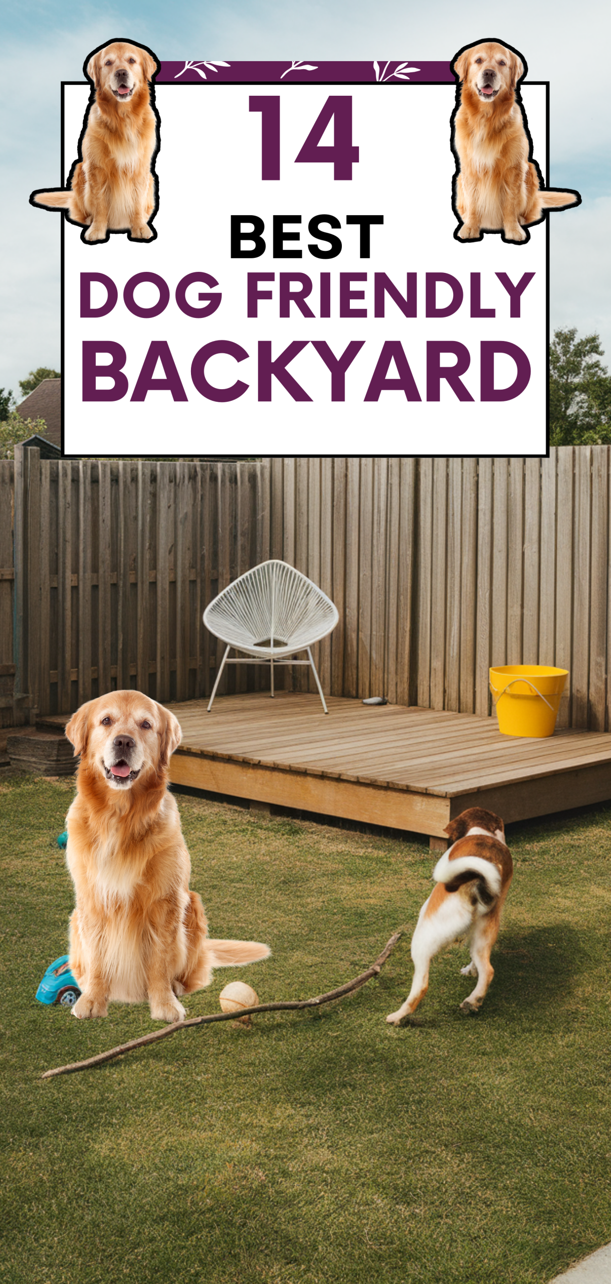 Best Dog Friendly Backyard