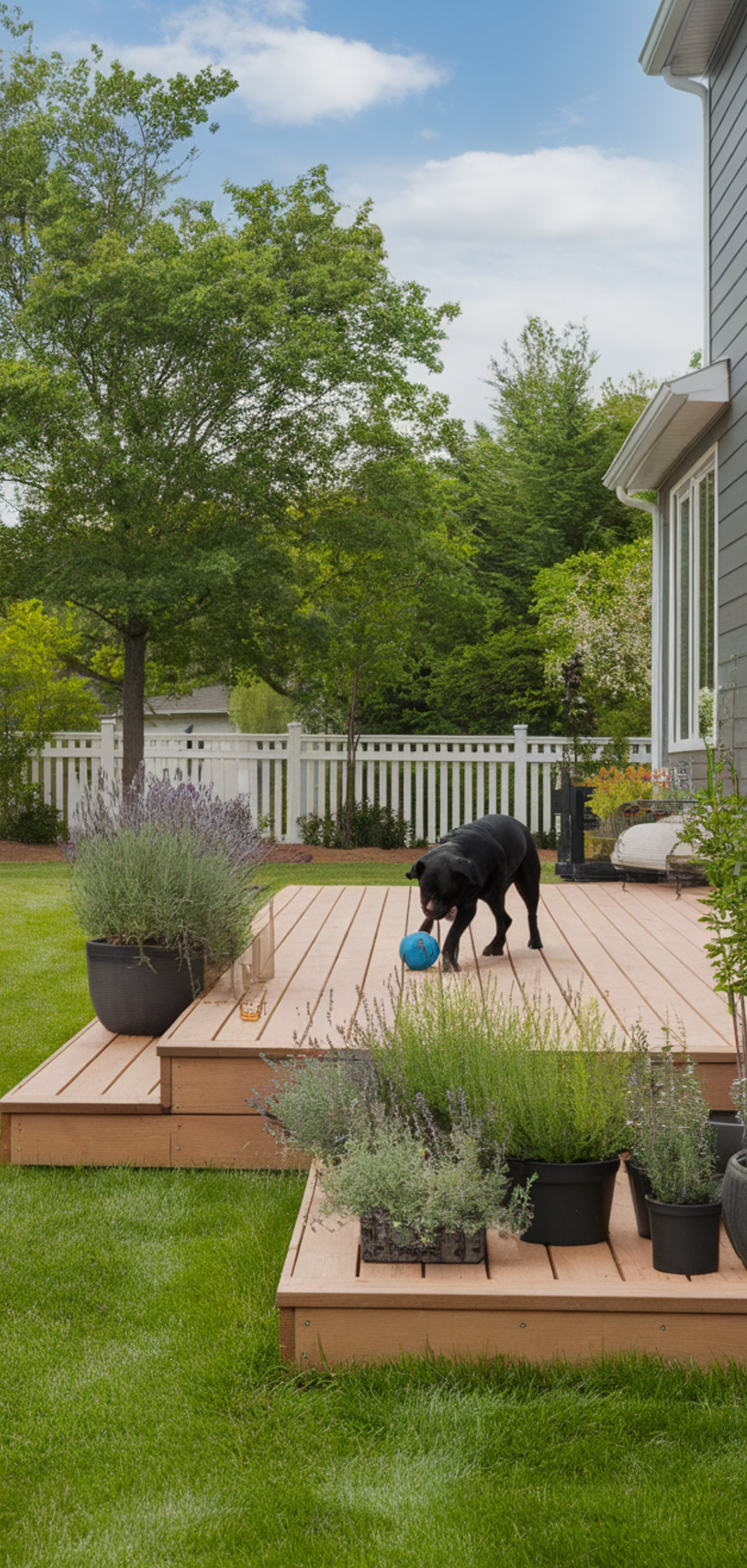 Best Dog Friendly Backyard