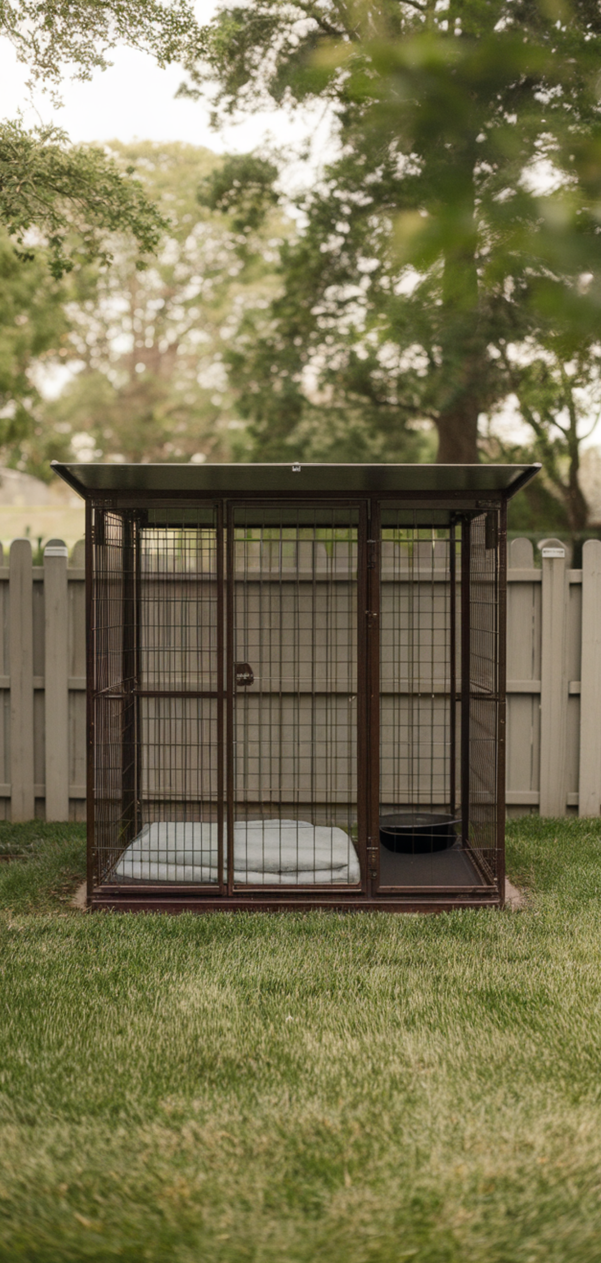 Best Dog Friendly Backyard