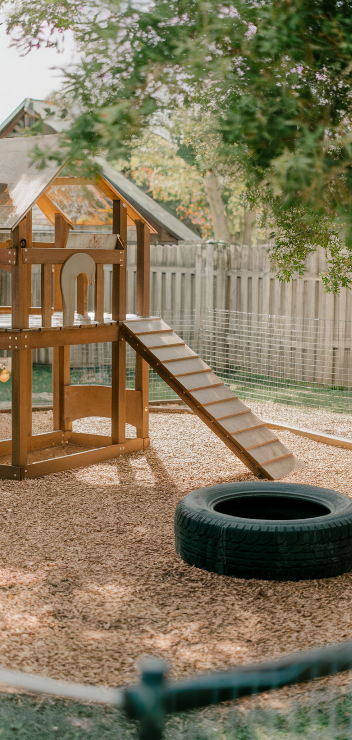 Best Dog Friendly Backyard