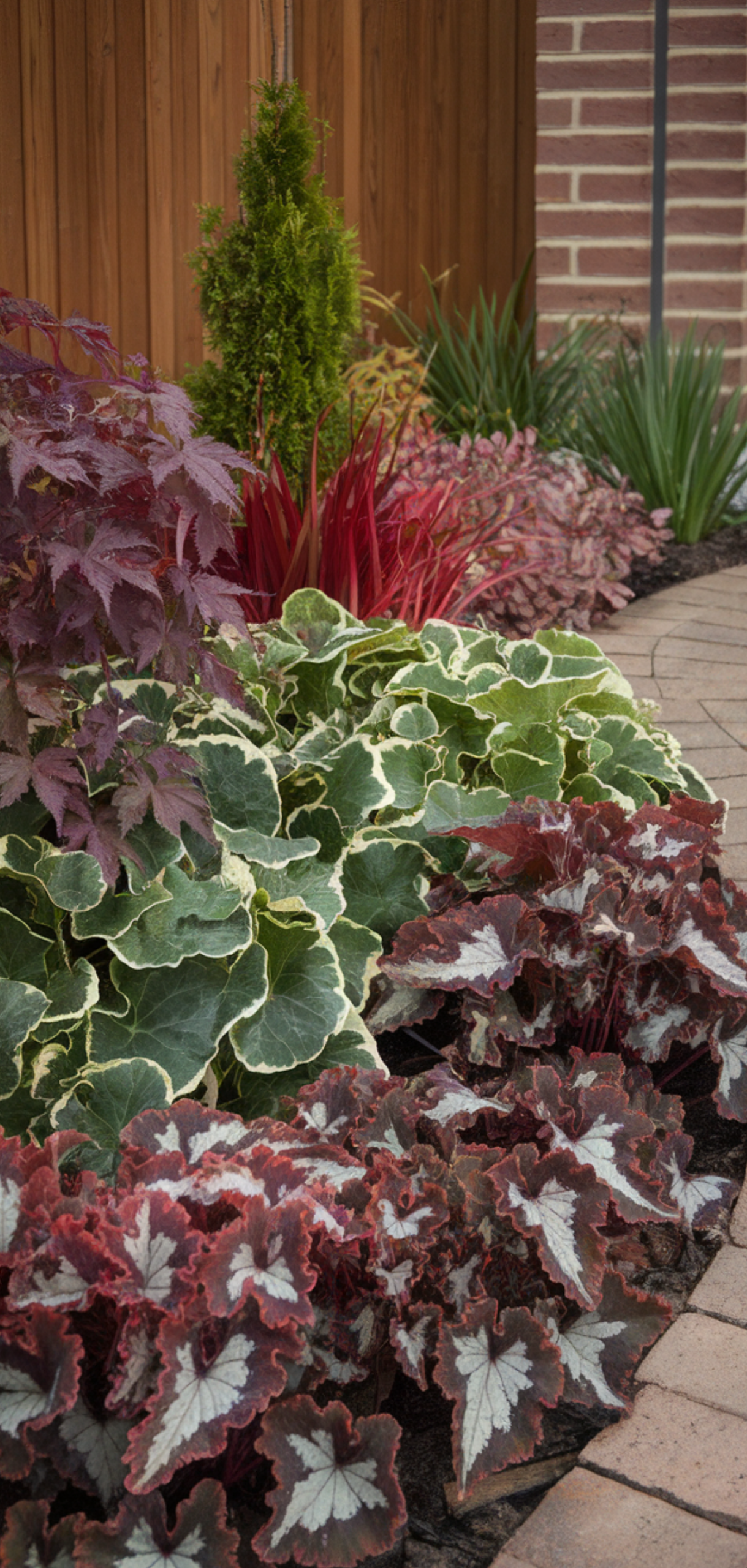 Stunning Shade Plants Landscaping Ideas for Amazing Curb Appeal