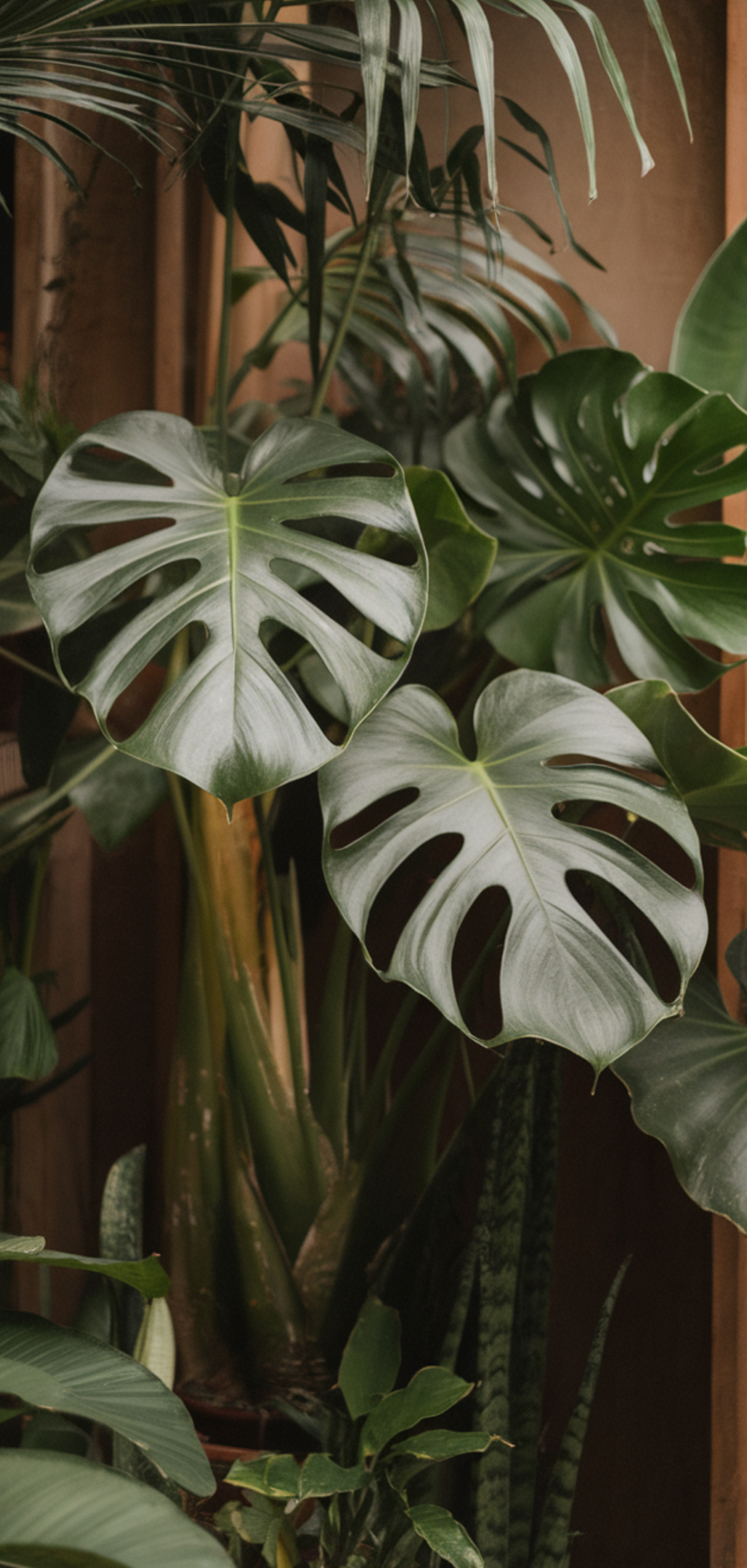 Best Tropical Plants That Thrive in Shade Outdoors