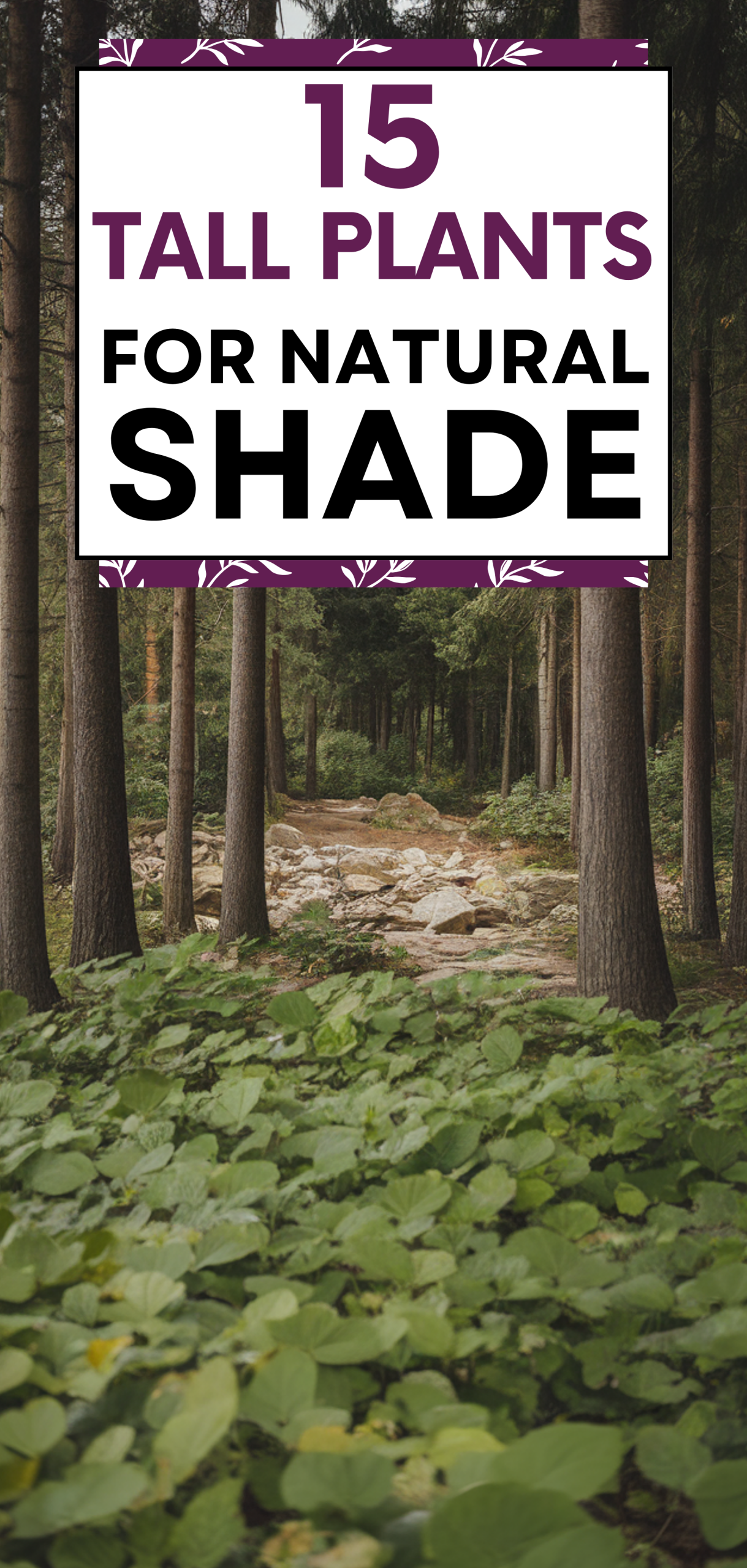 Tall Plants for Natural Shade