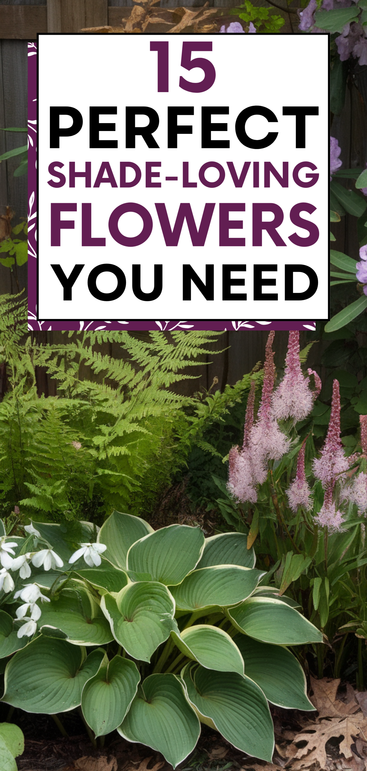 Perfect Shade-Loving Flowers You Need