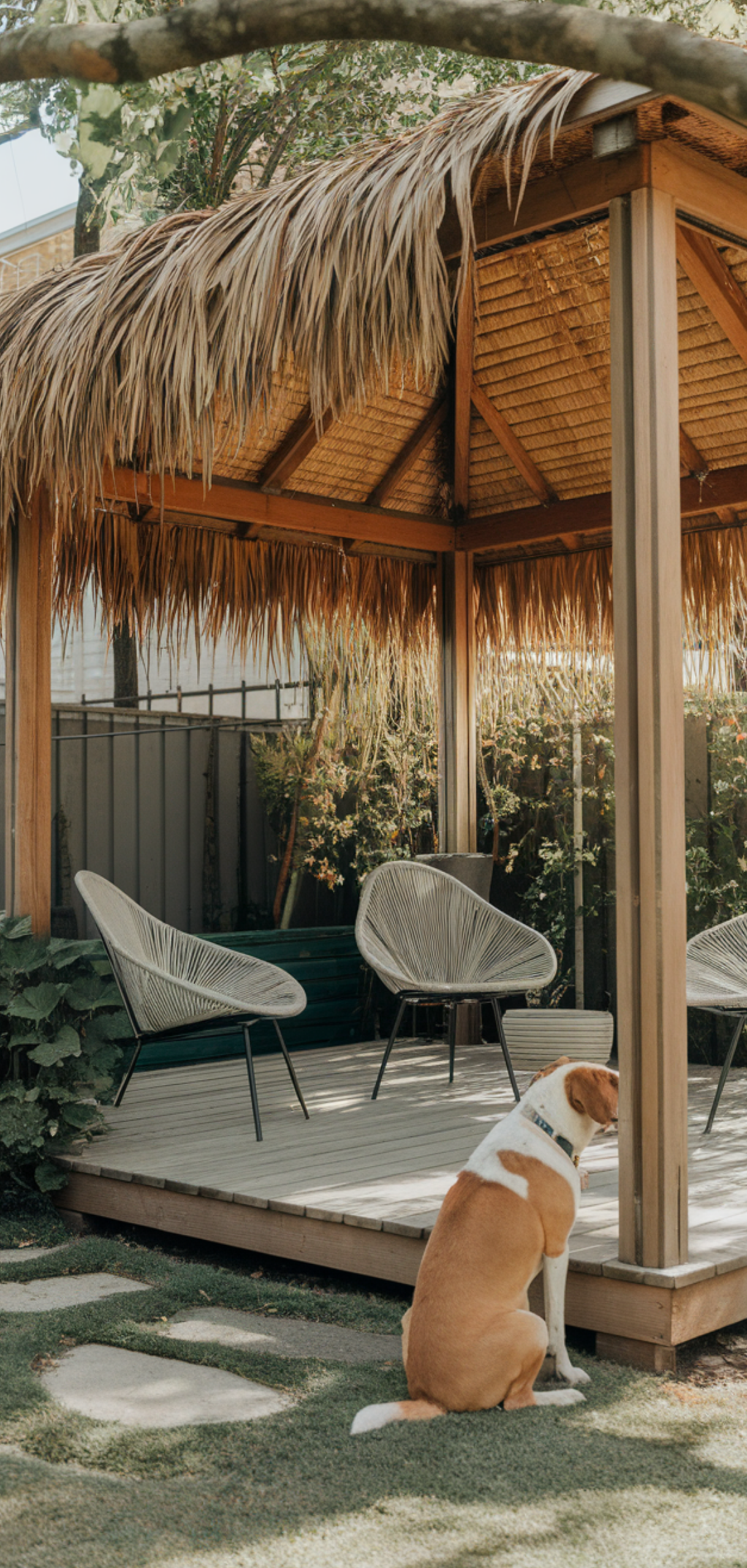 Best Dog Friendly Backyard