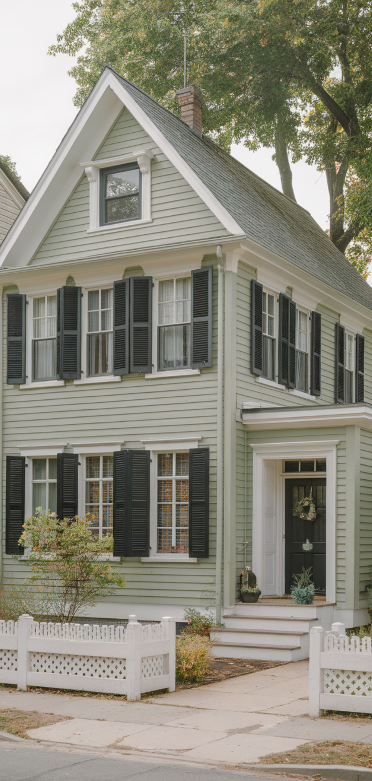 Amazing Sage Green House Ideas with Cream Trim Ideas