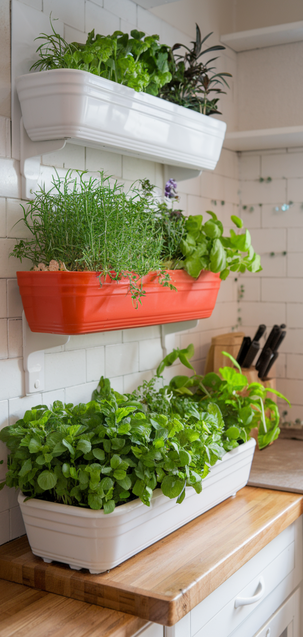 17 Creative Ways to Grow Food Everywhere