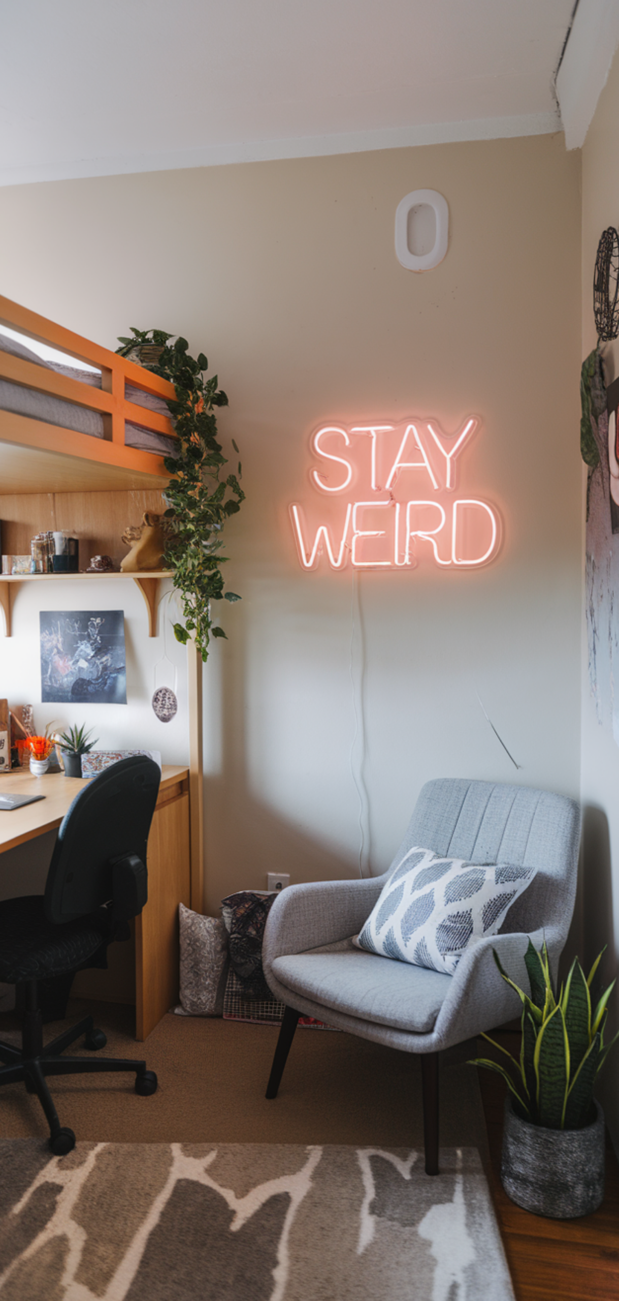 Stunning Dorm Room Inspo To Maximize Small Spaces