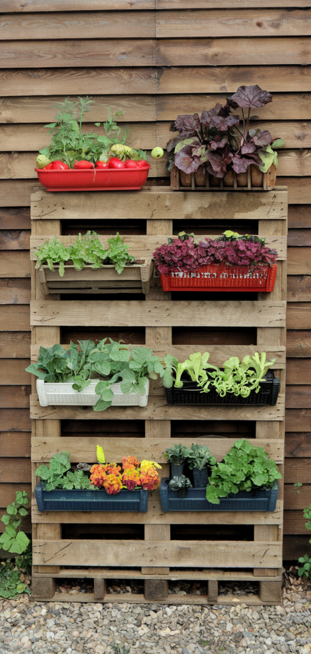 17 Creative Ways to Grow Food Everywhere