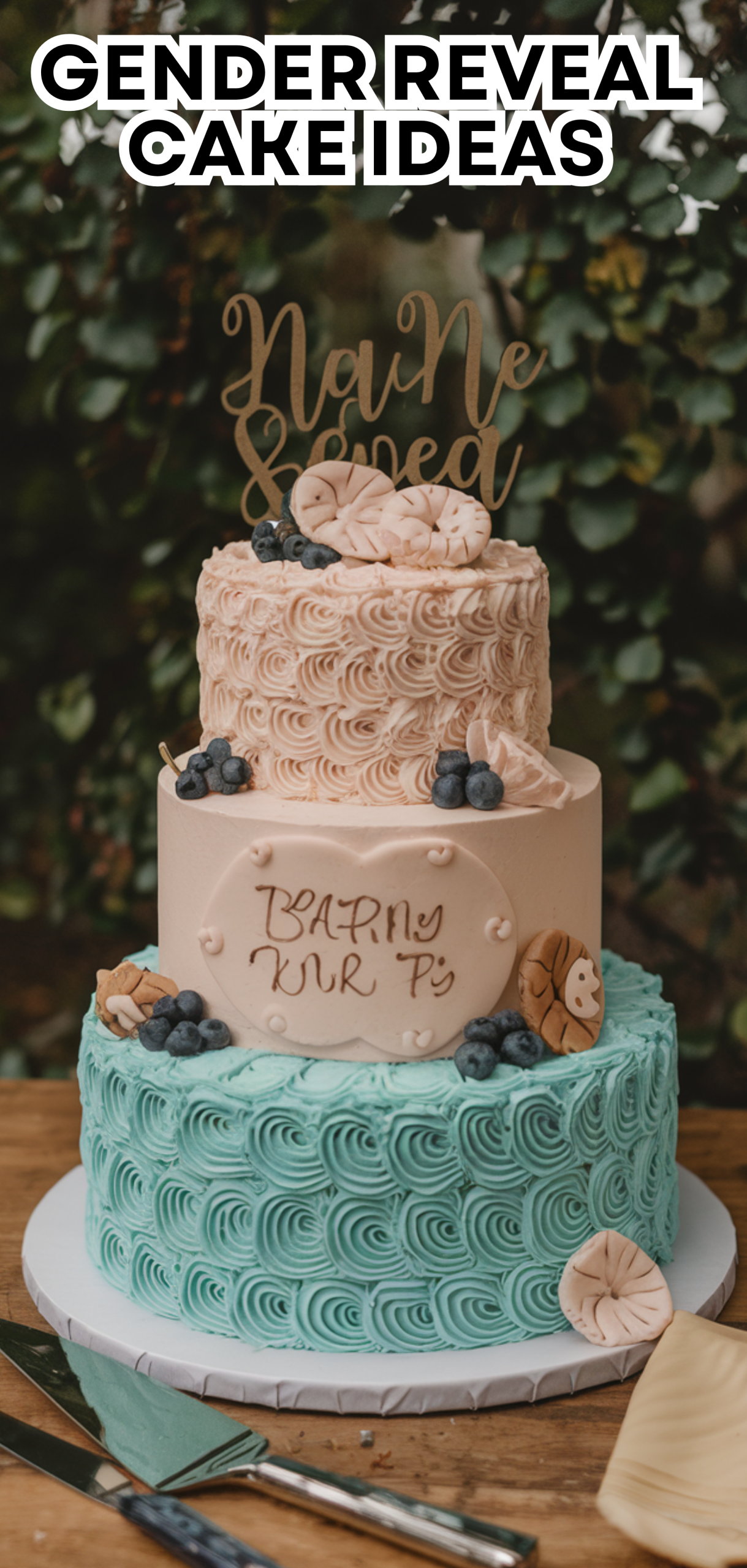 Gender Reveal Cake Ideas