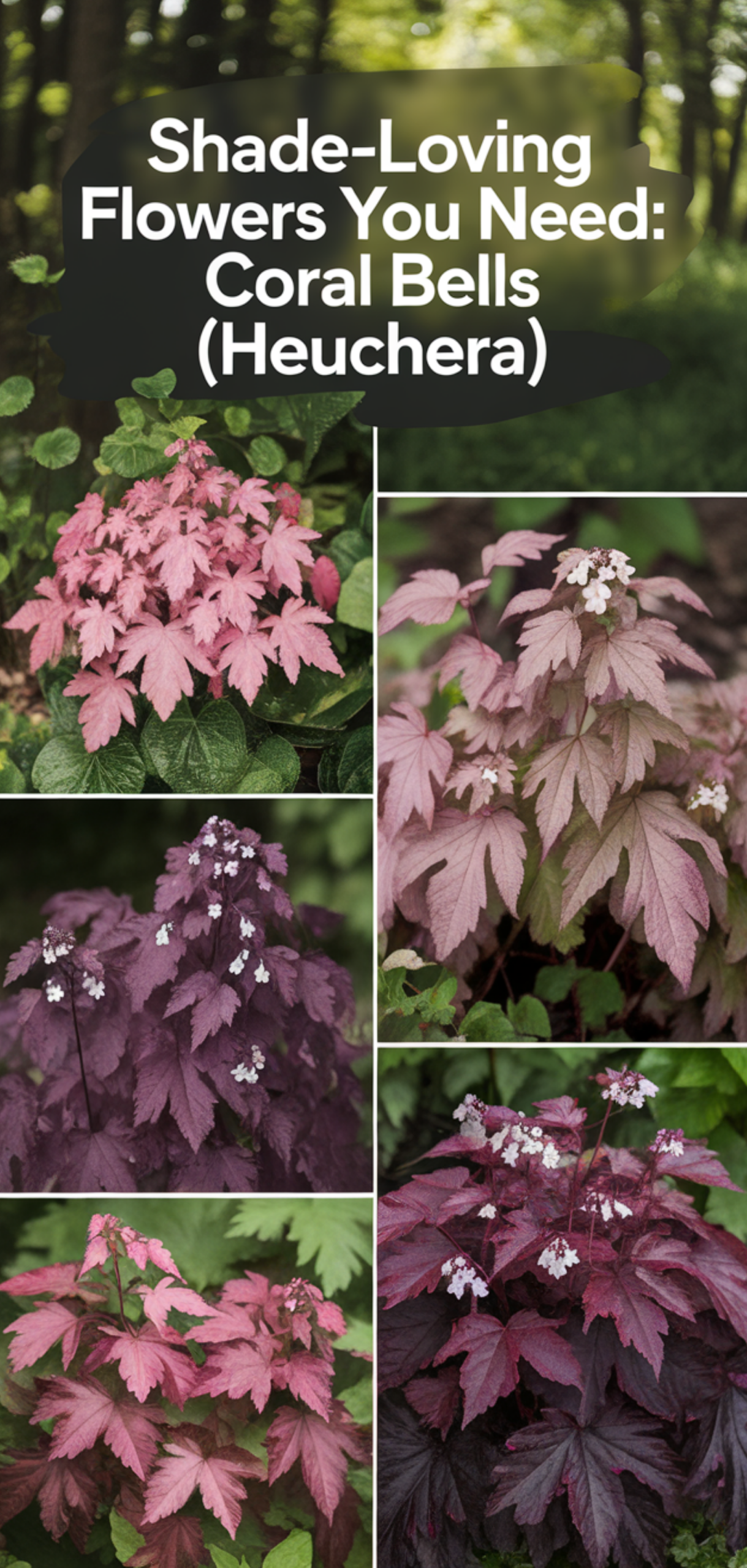 Perfect Shade-Loving Flowers You Need
