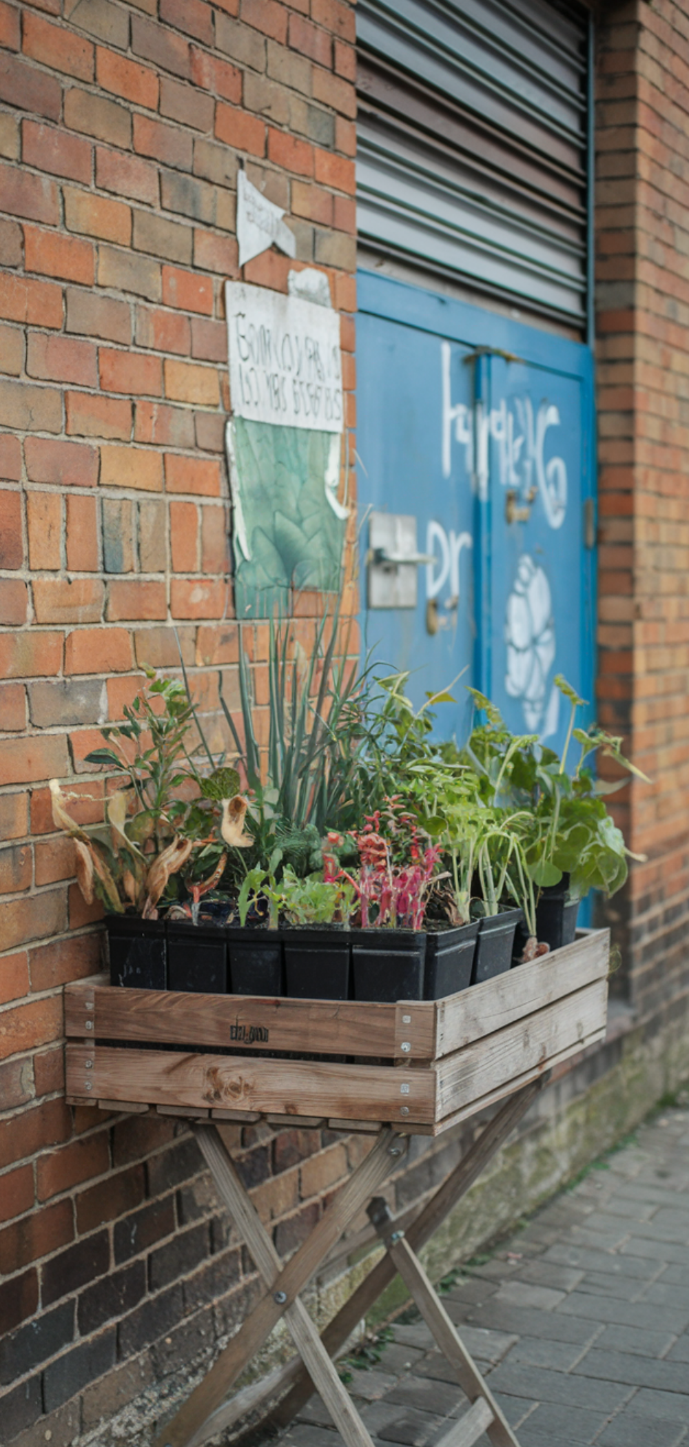 17 Creative Ways to Grow Food Everywhere
