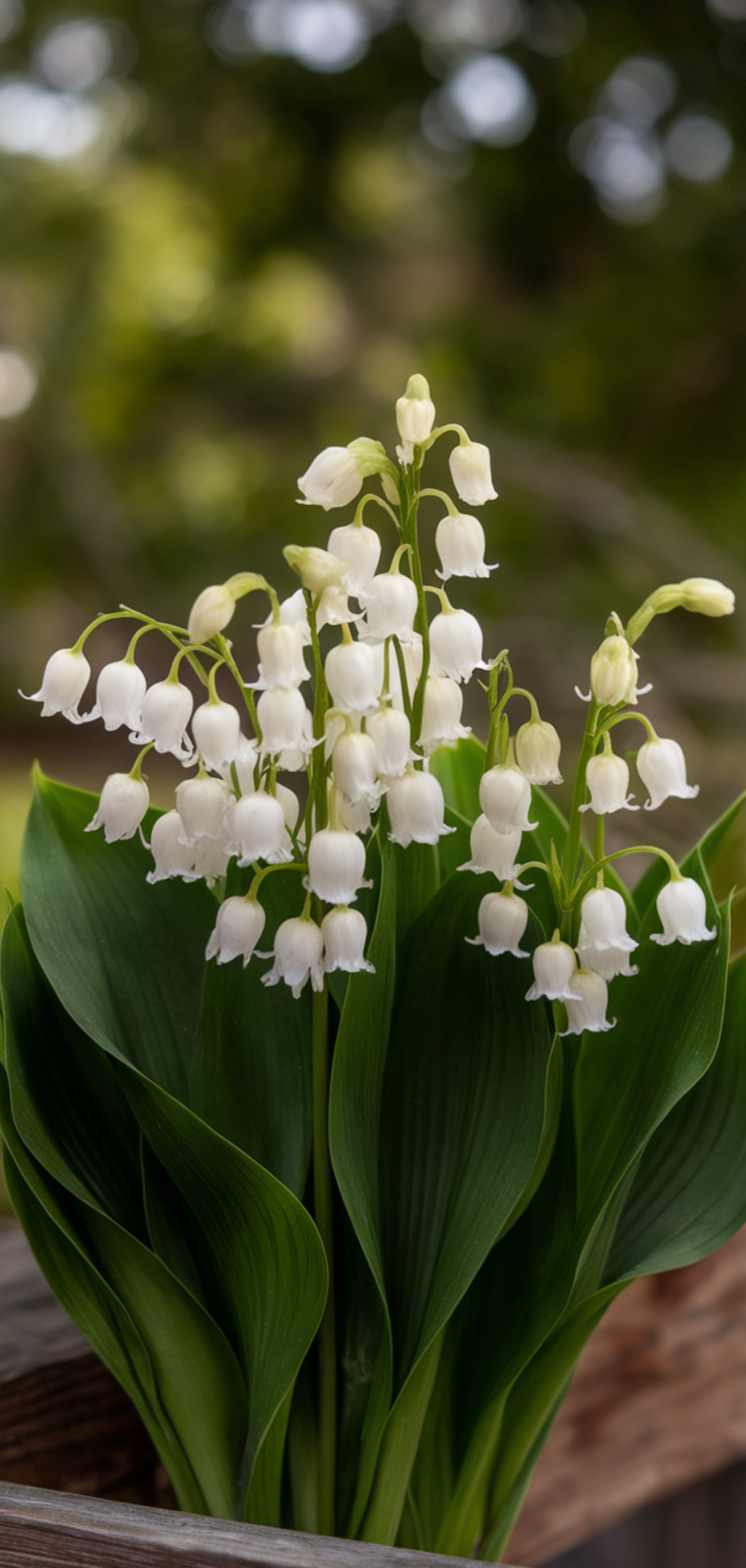 Perfect Shade-Loving Flowers You Need