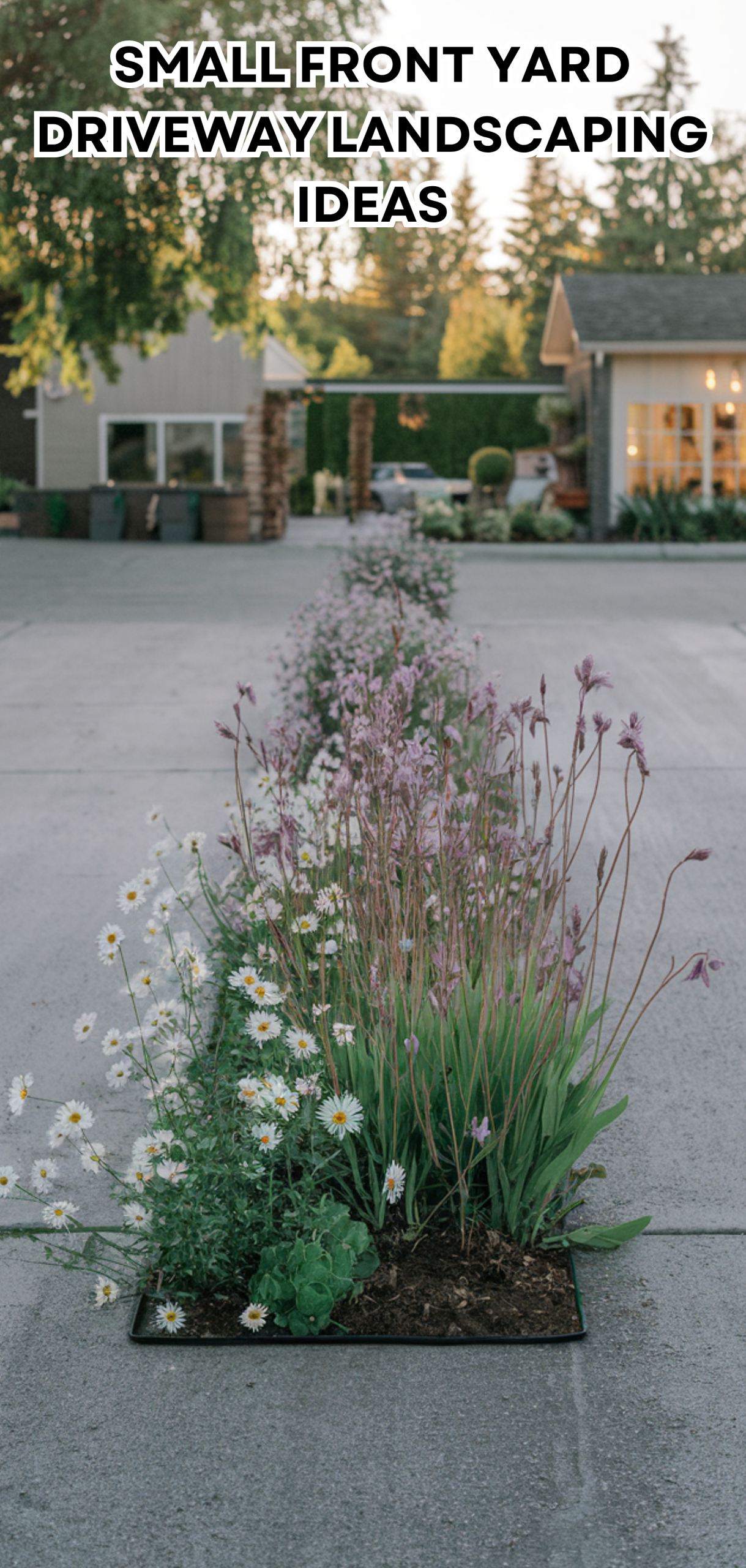 17 Amazing Small Front Yard Driveway Landscaping Ideas