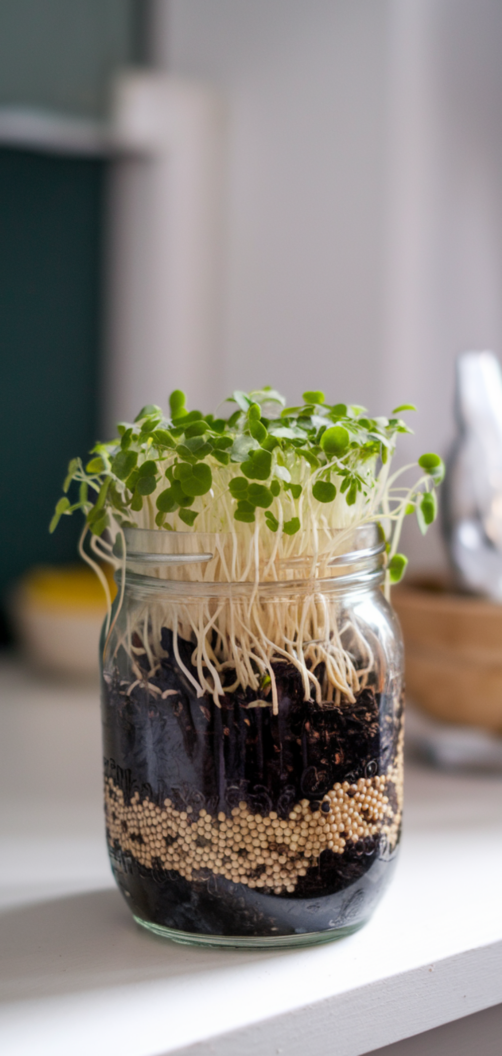 17 Creative Ways to Grow Food Everywhere