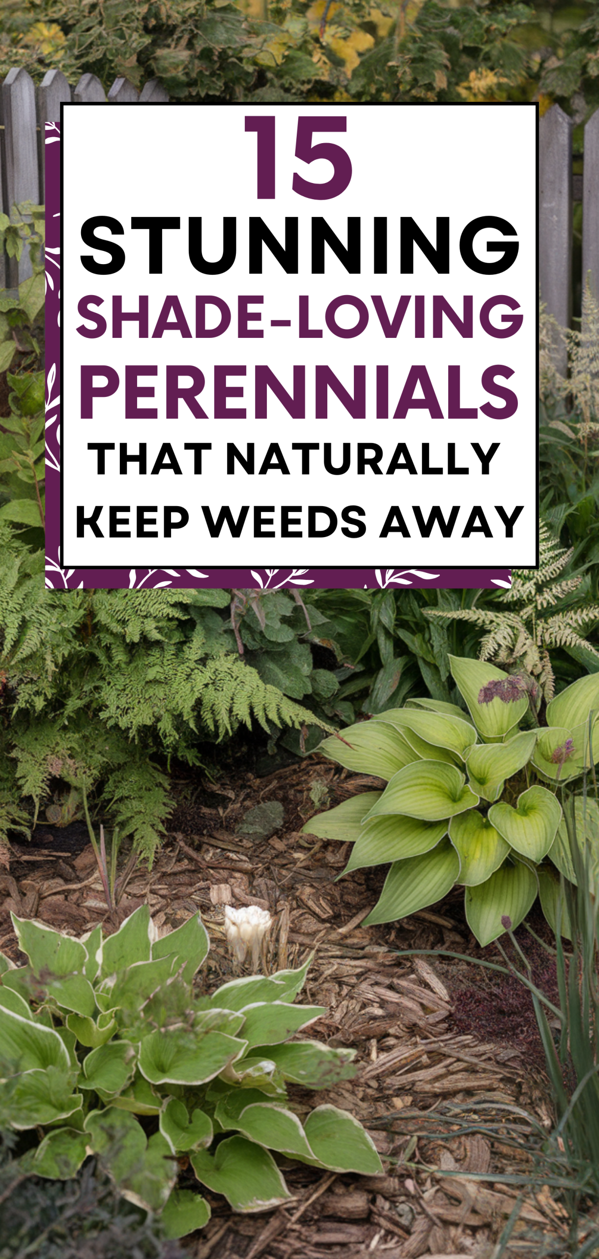 Stunning Shade-Loving Perennials That Naturally Keep Weeds Away