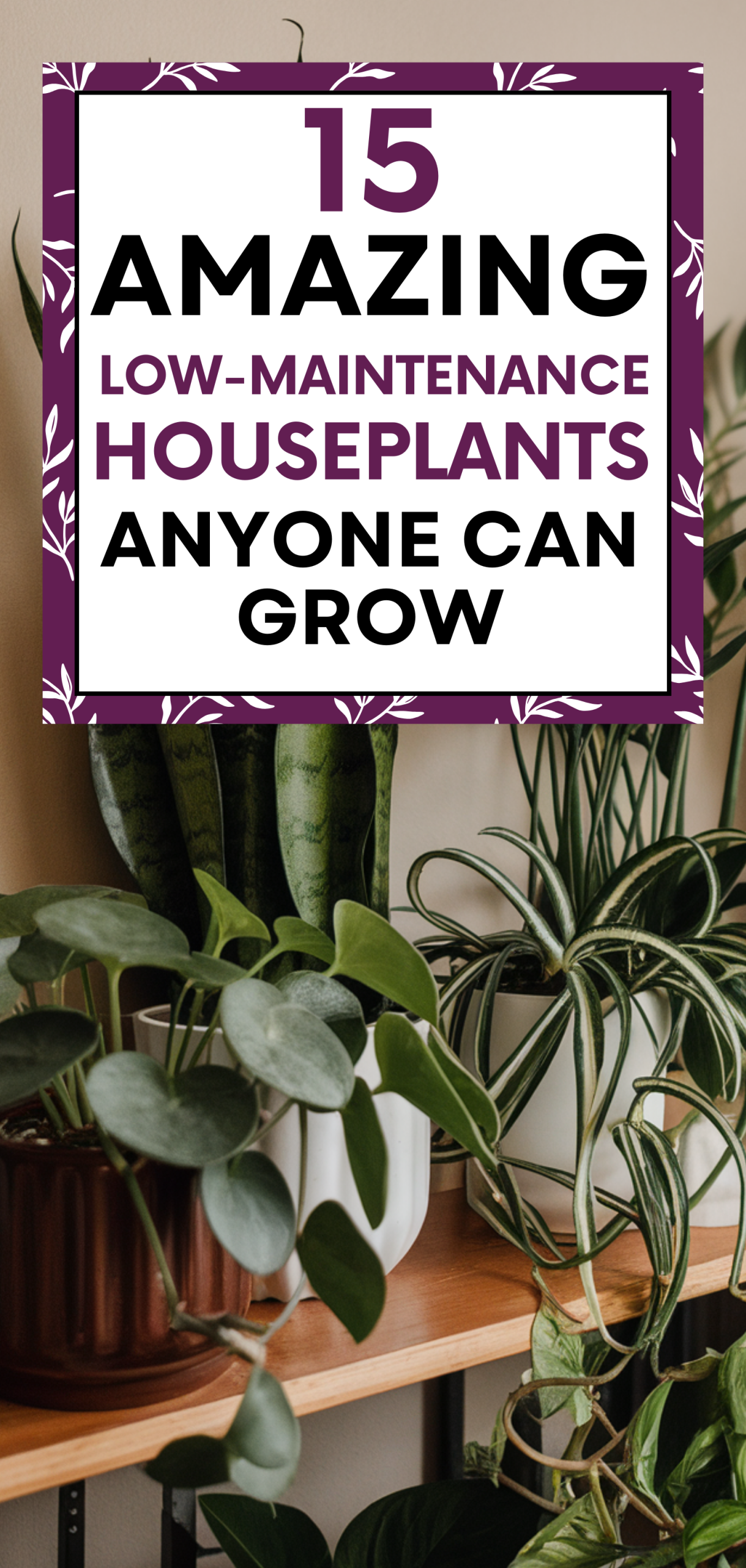 Amazing Low-Maintenance Houseplants Anyone Can Grow
