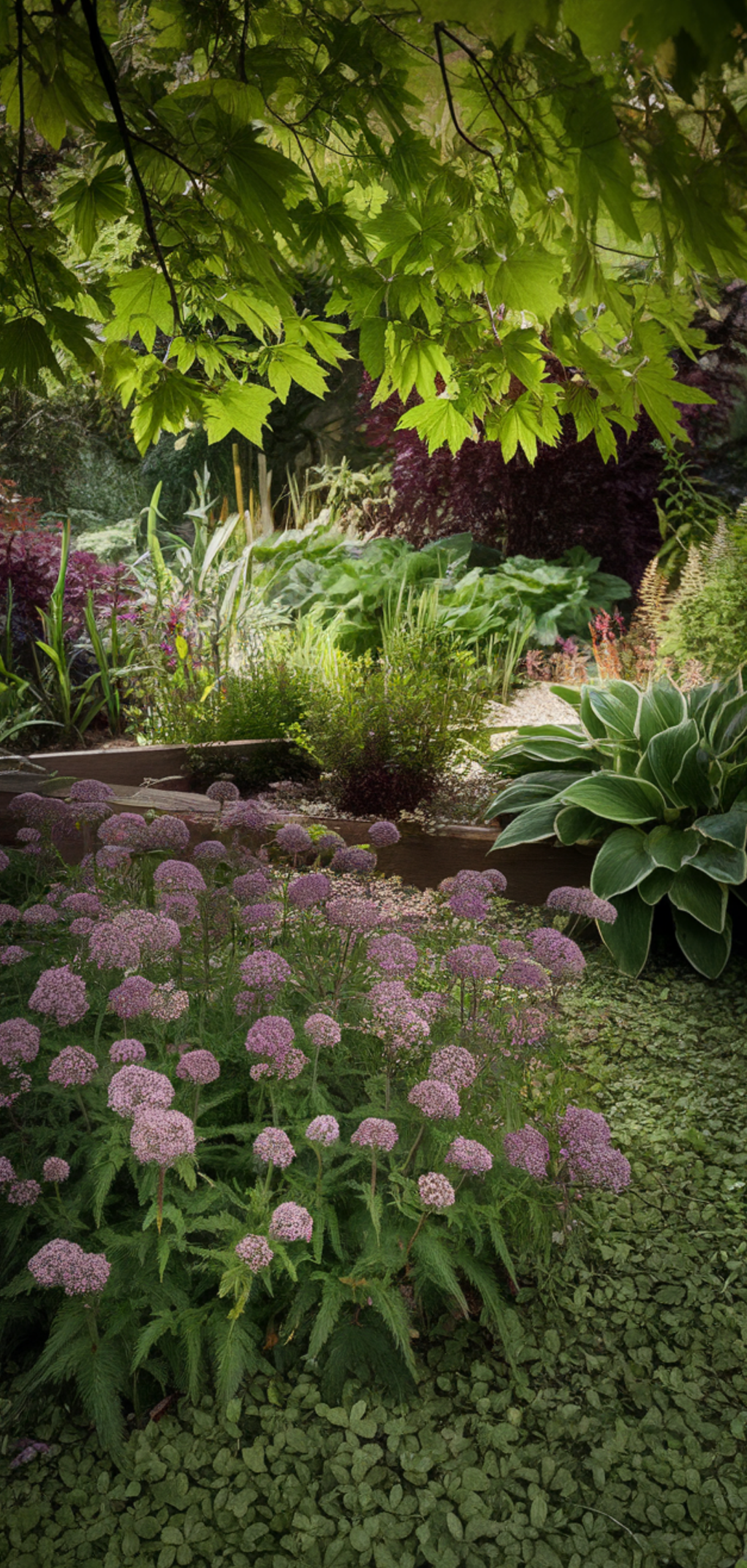 Stunning Shade-Loving Perennials That Naturally Keep Weeds Away