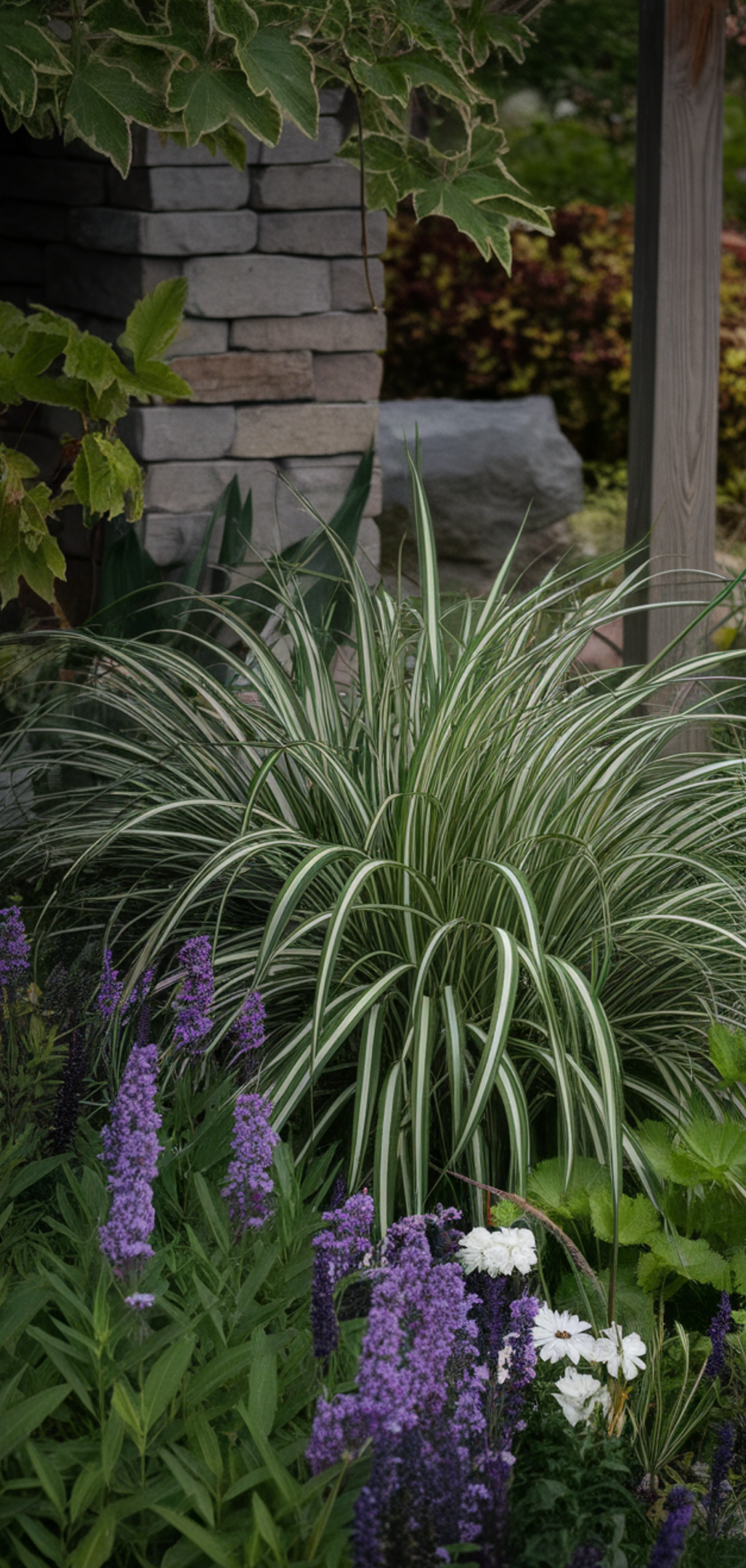 Stunning Shade-Loving Perennials That Naturally Keep Weeds Away