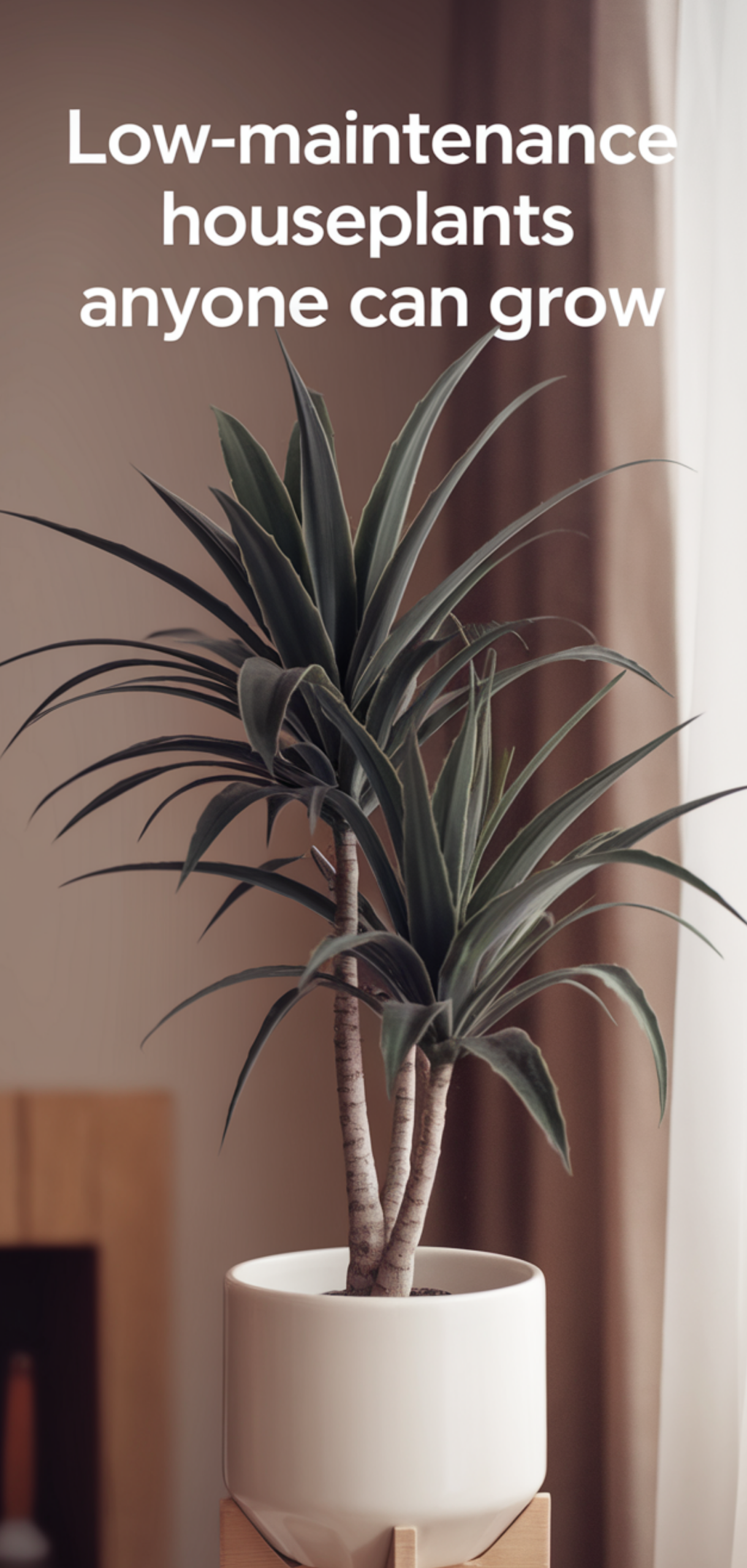 Amazing Low-Maintenance Houseplants Anyone Can Grow
