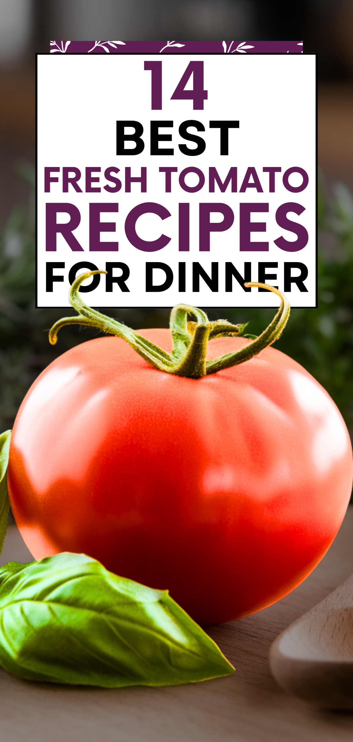 Best Fresh Tomato Recipes for dinner
