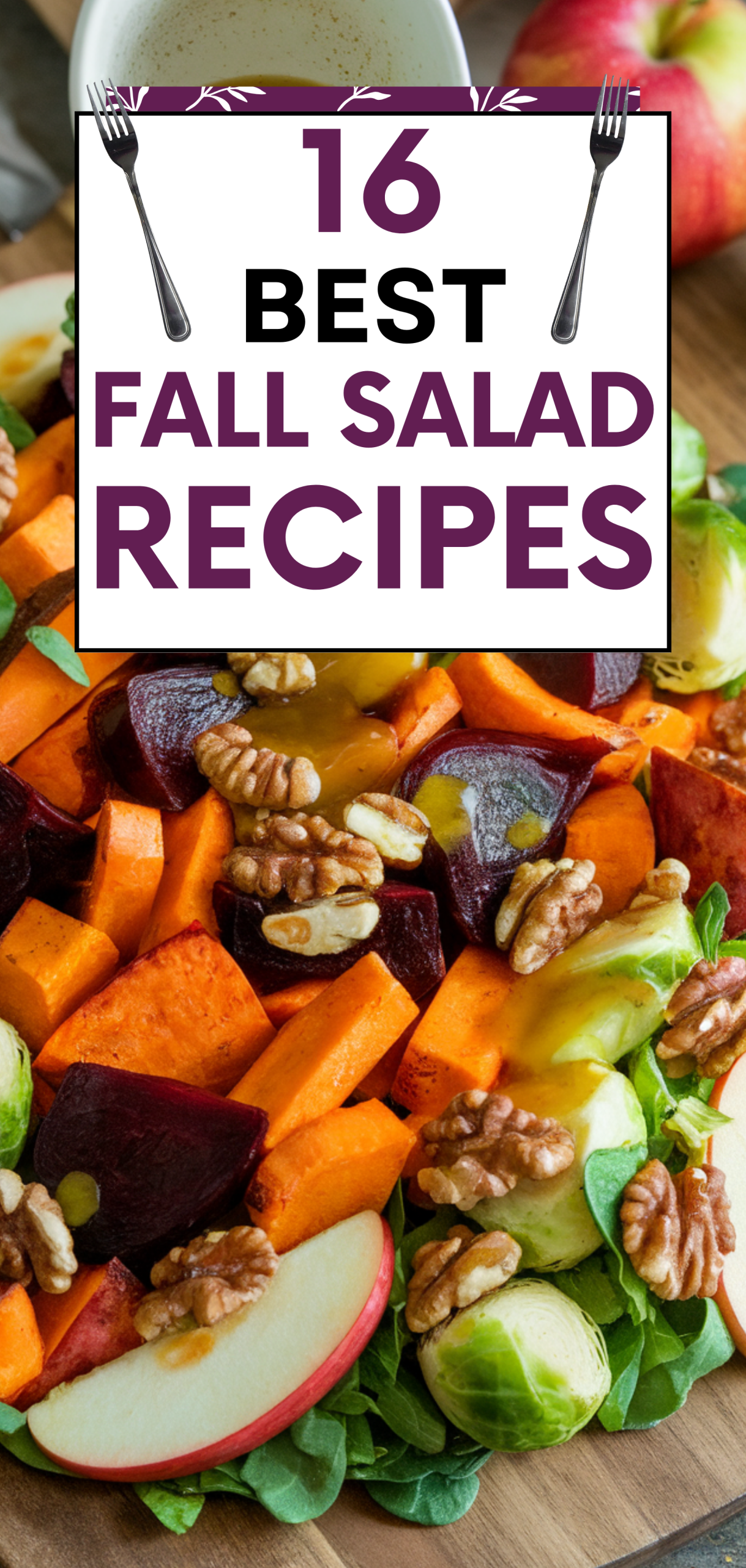 Best Fall Salad Recipes