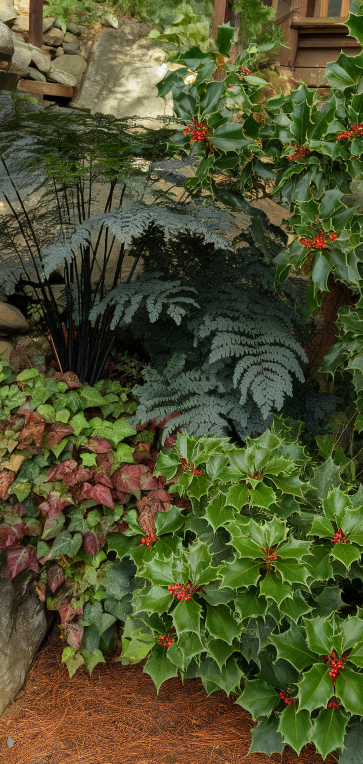 Perfect Lush Shade Garden Ideas