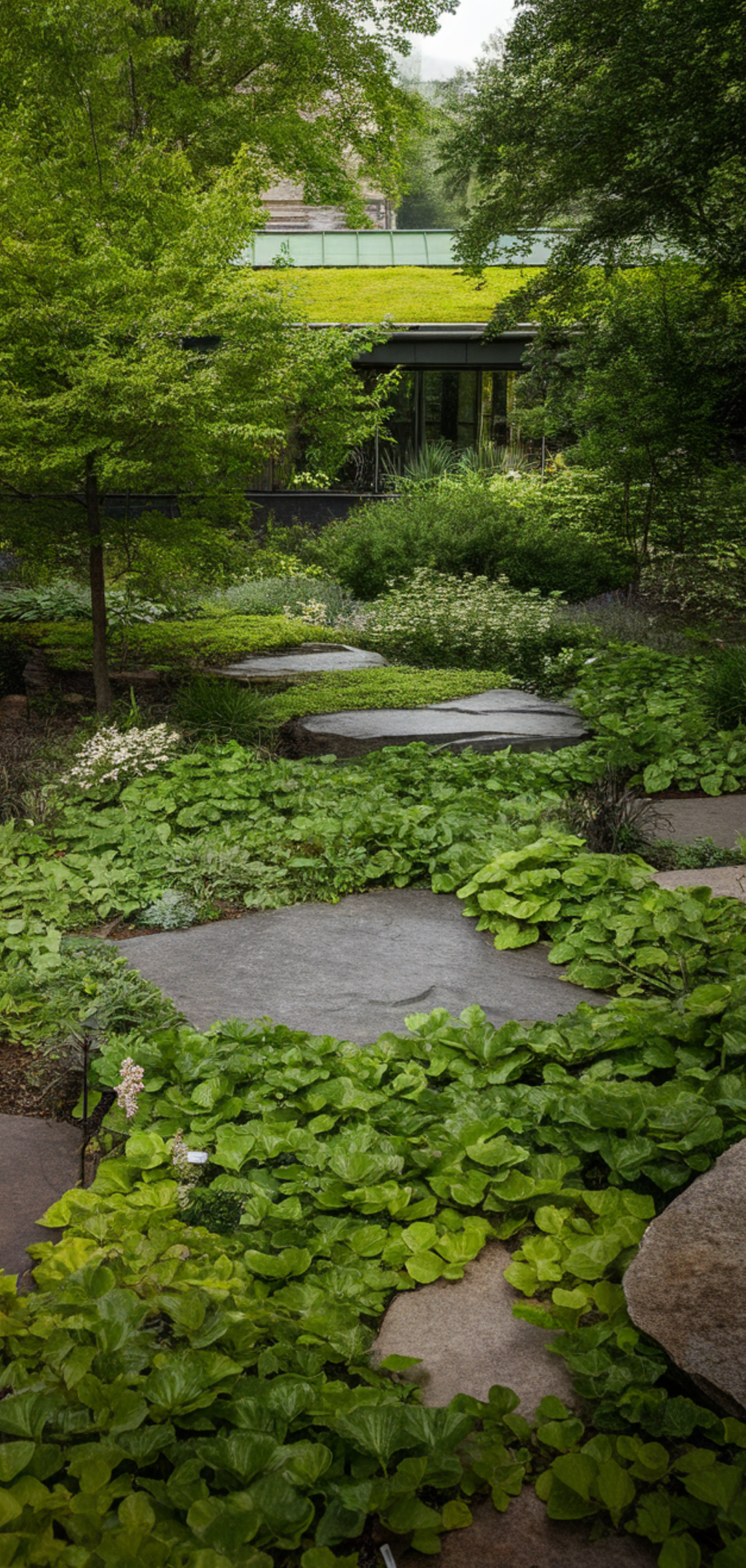 Perfect Lush Shade Garden Ideas
