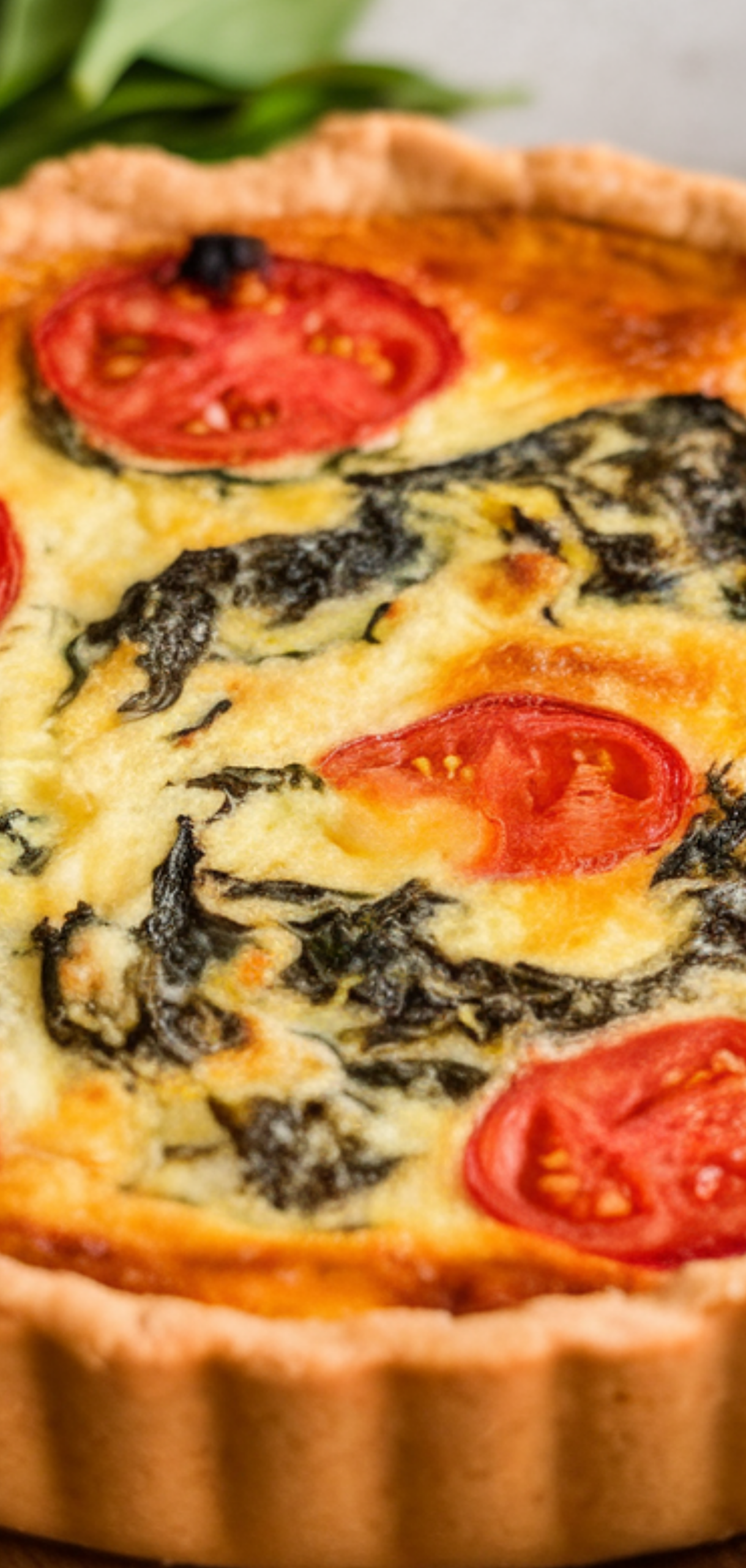 Best Fresh Tomato Recipes for dinner
