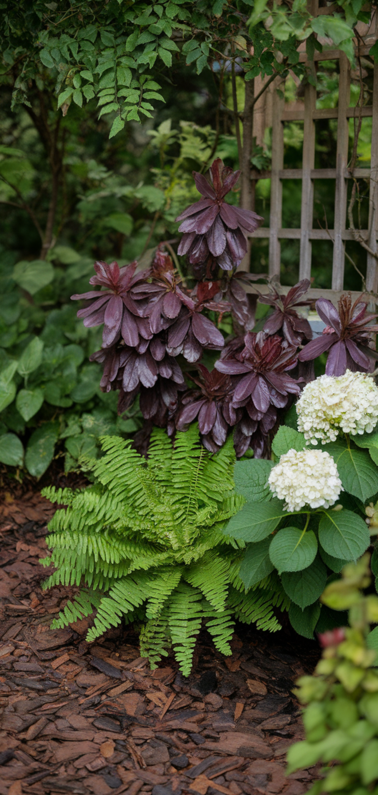 Perfect Lush Shade Garden Ideas