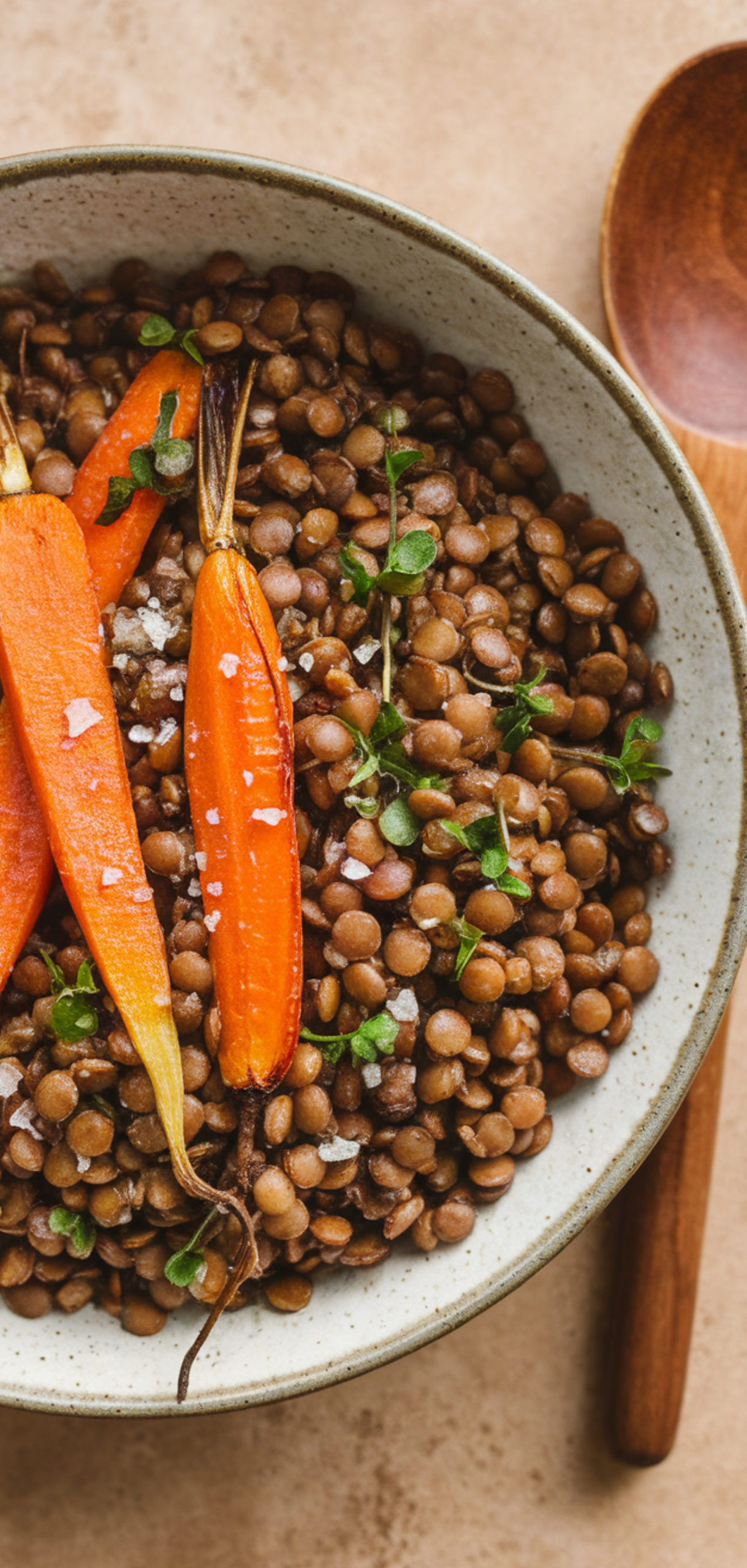 Best Fall Salad Recipes