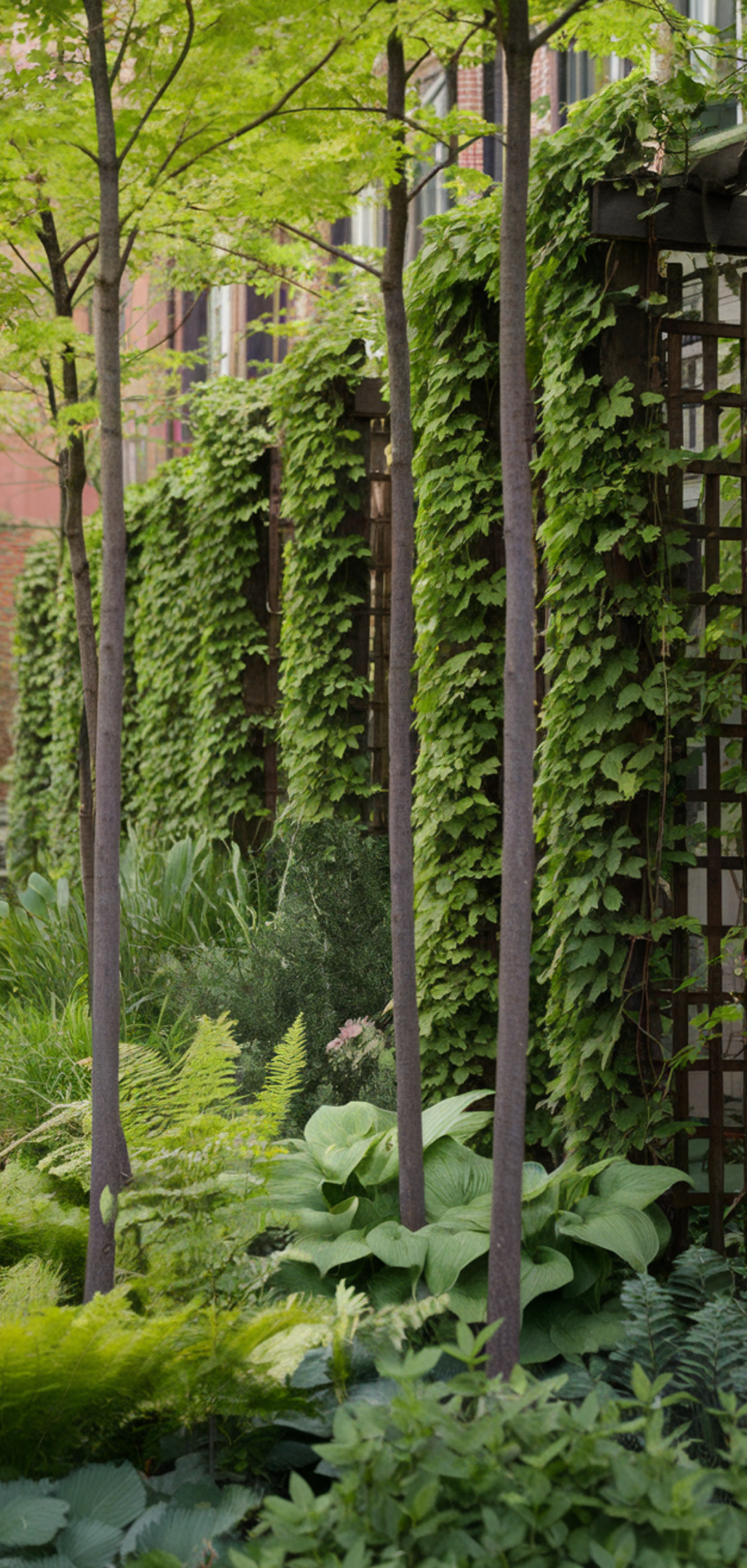 Perfect Lush Shade Garden Ideas