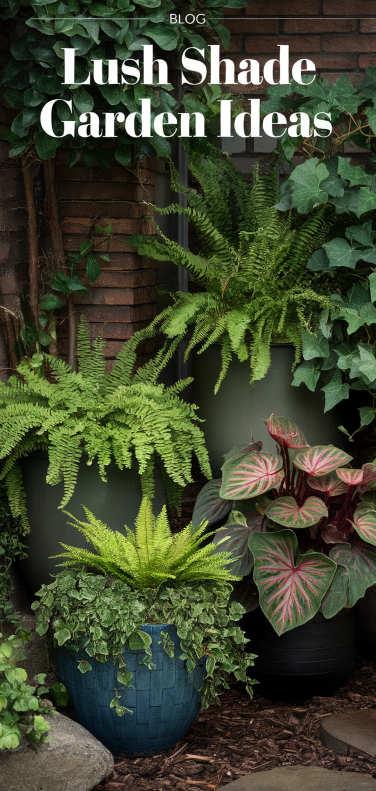 Perfect Lush Shade Garden Ideas