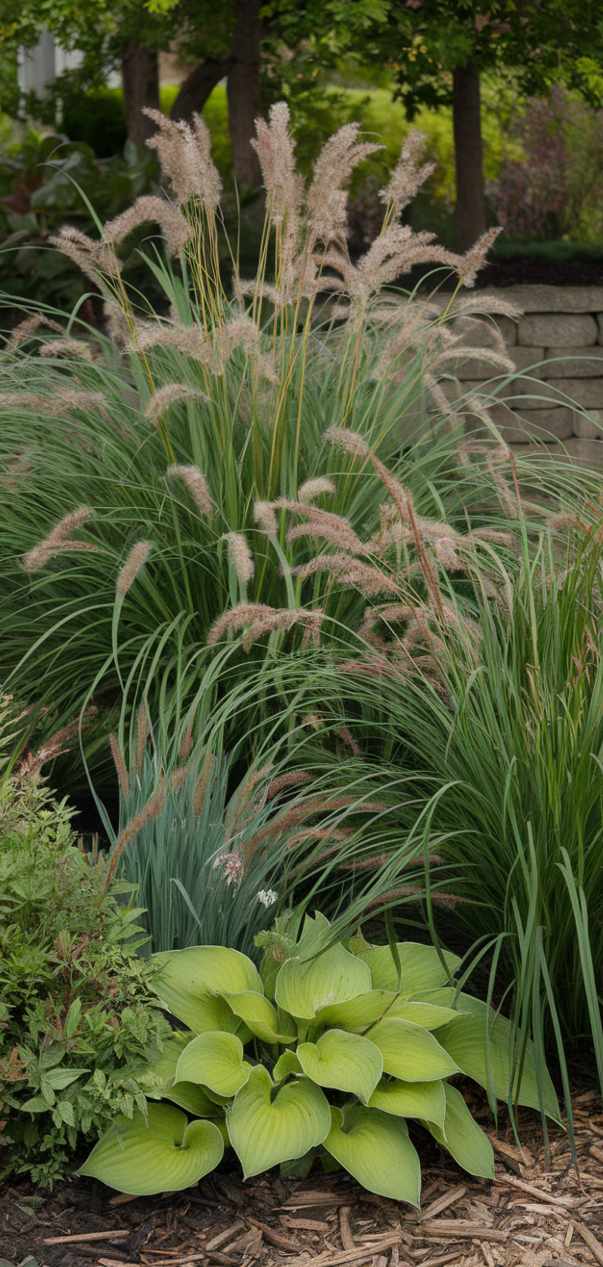 Perfect Lush Shade Garden Ideas