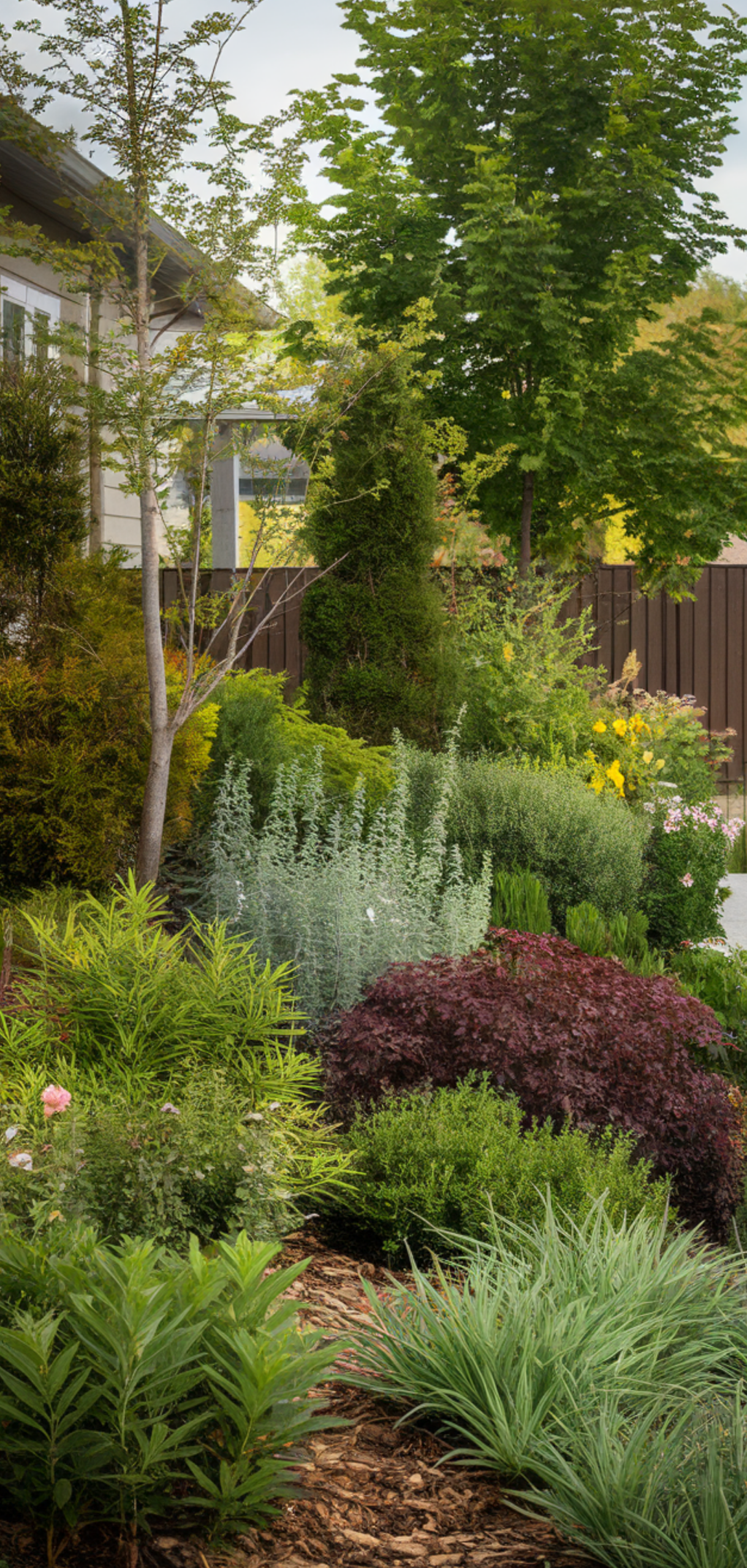 Ways to Landscape a Family Home Side Yard Without Breaking the Bank