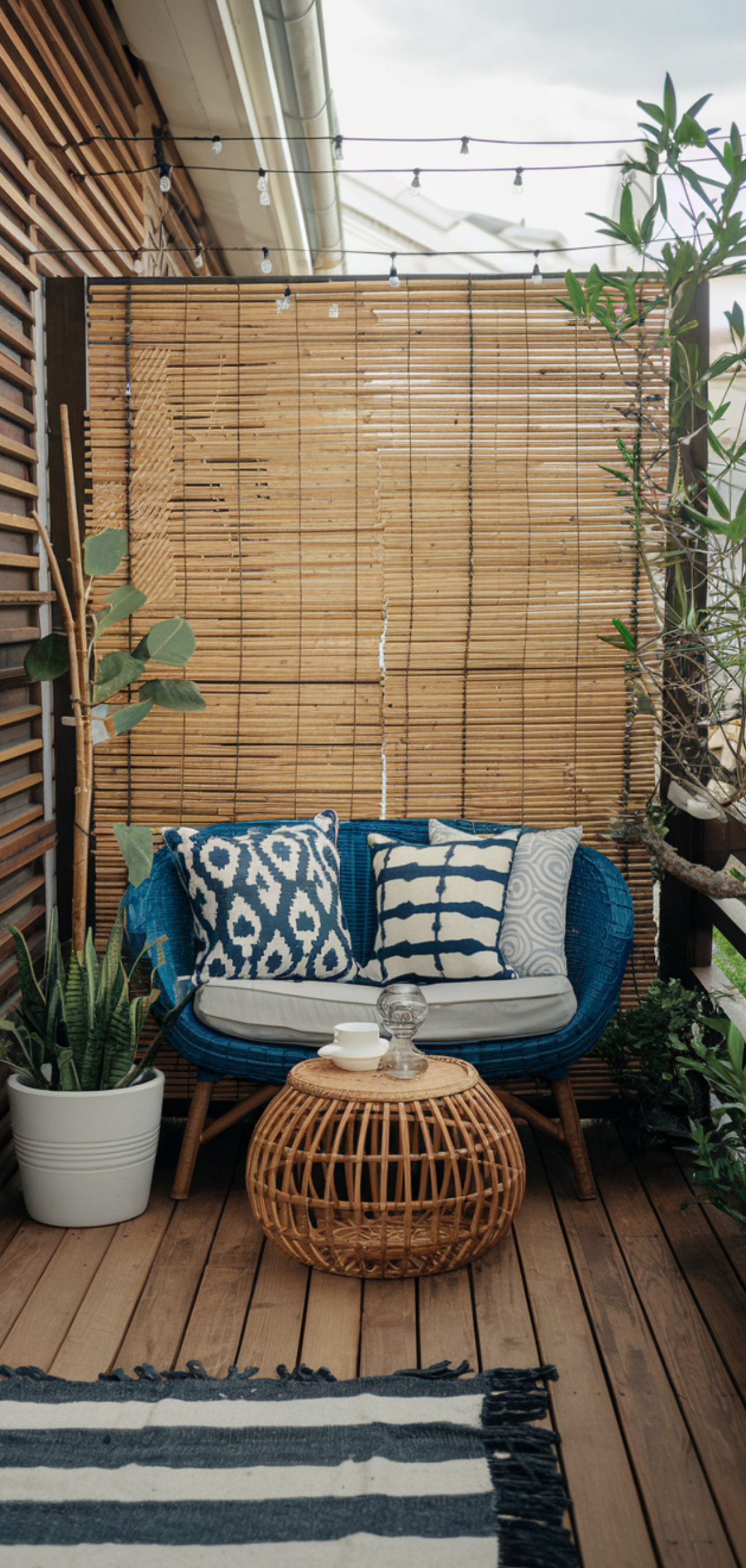 14 Best small balcony garden privacy Ideas
