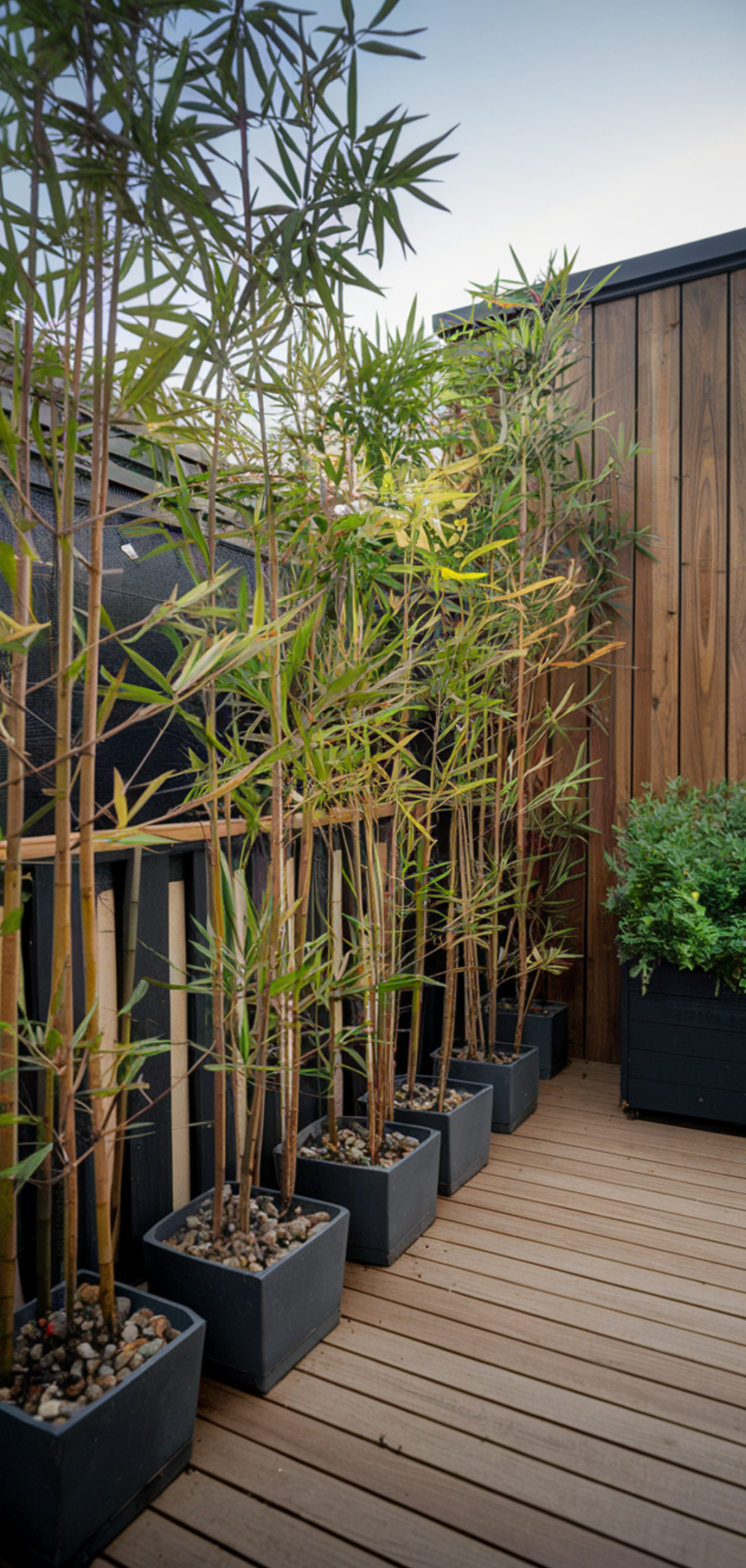 14 Best small balcony garden privacy Ideas