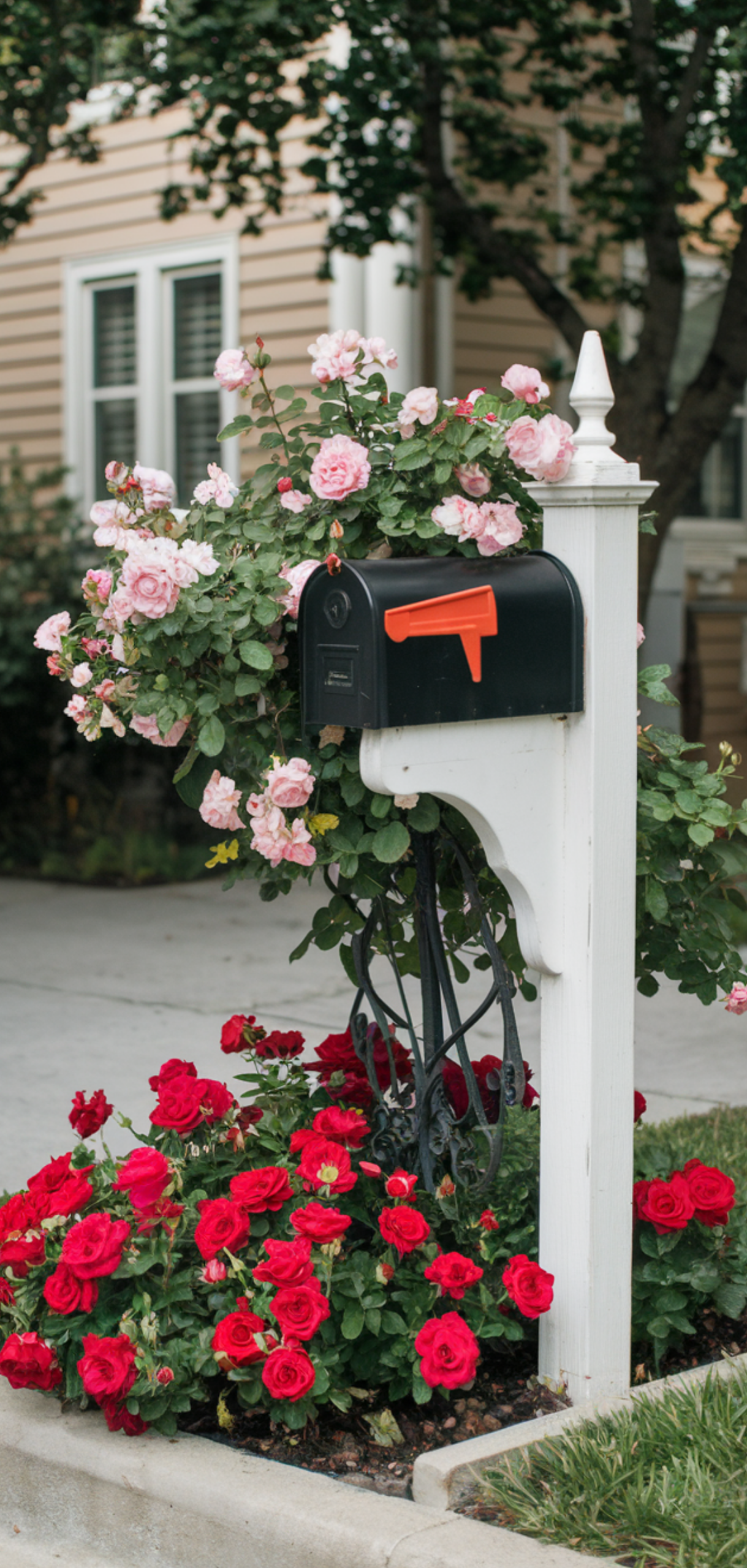 15 Perfect Mailbox Flower Bed Ideas