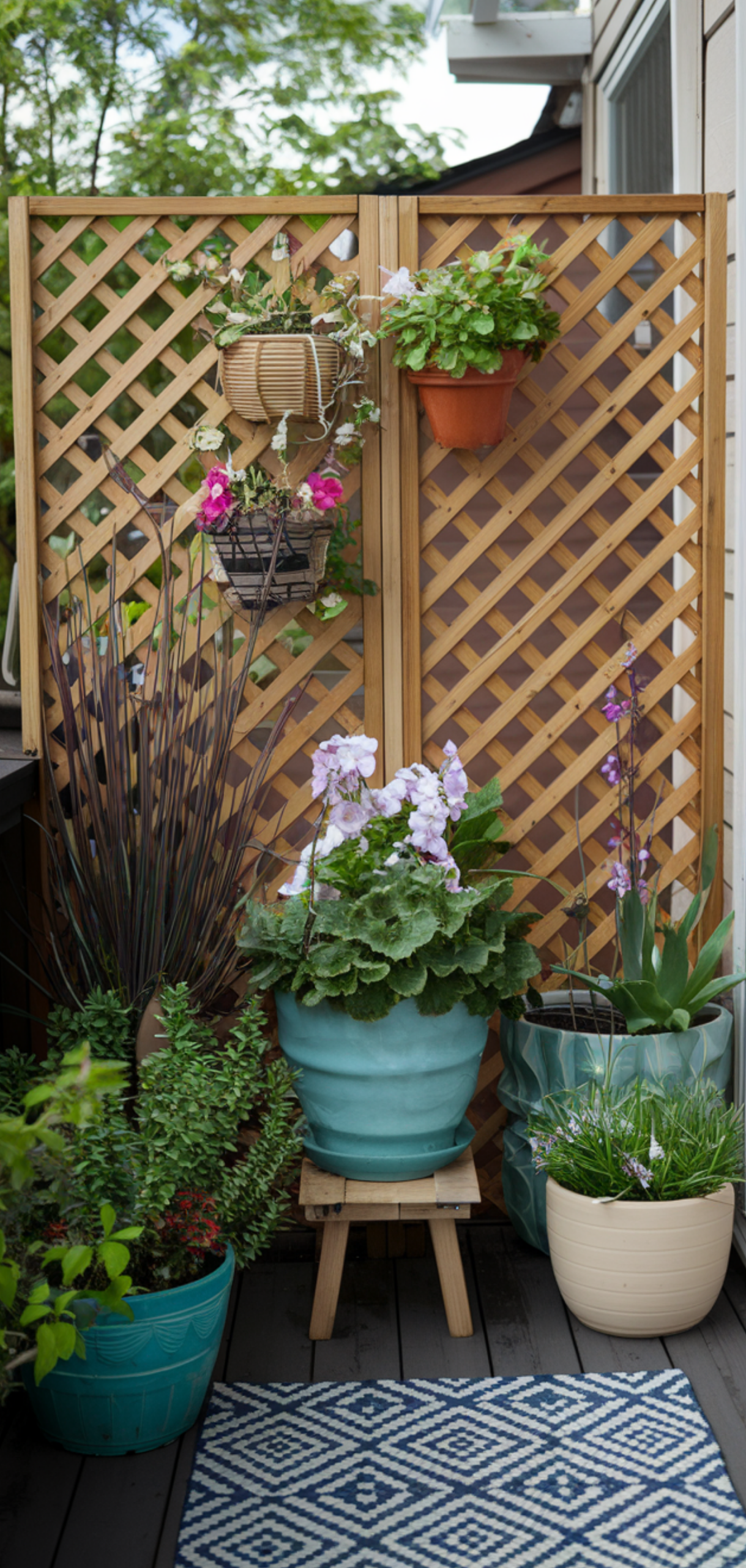 14 Best small balcony garden privacy Ideas