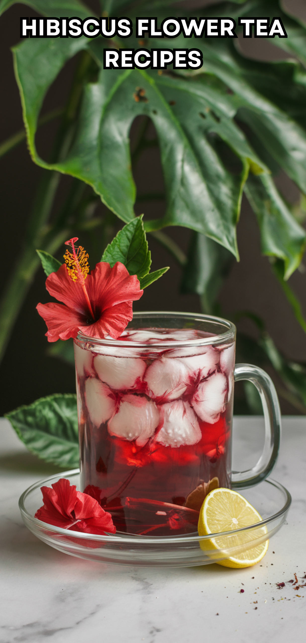 10 Delicious Hibiscus Flower Tea Recipes You Must Try