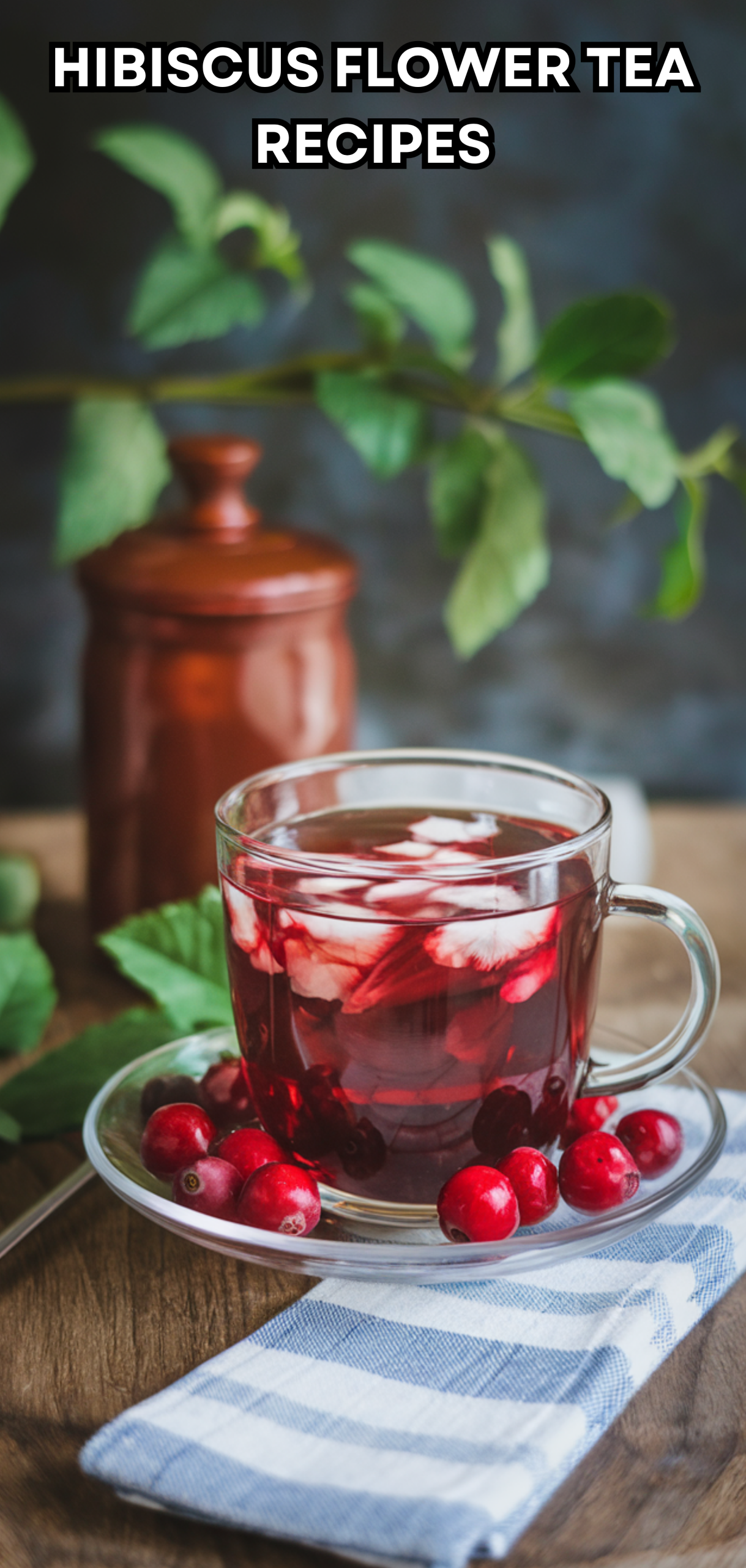 10 Delicious Hibiscus Flower Tea Recipes You Must Try