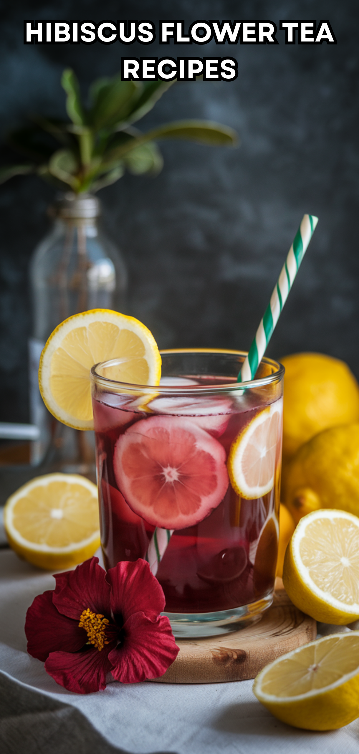 10 Delicious Hibiscus Flower Tea Recipes You Must Try