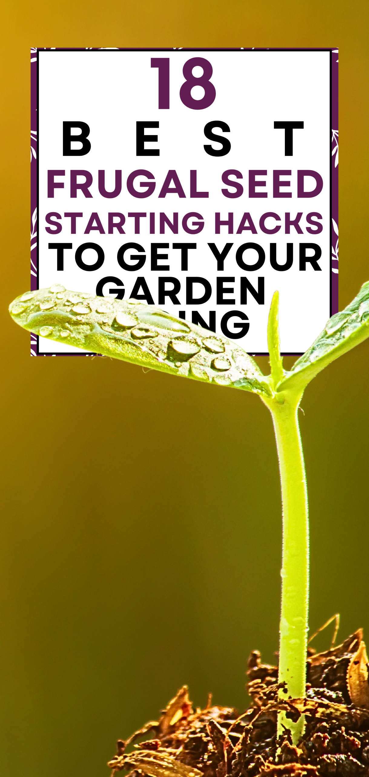 18 Best Frugal Seed Starting Hacks to Get Your Garden Going